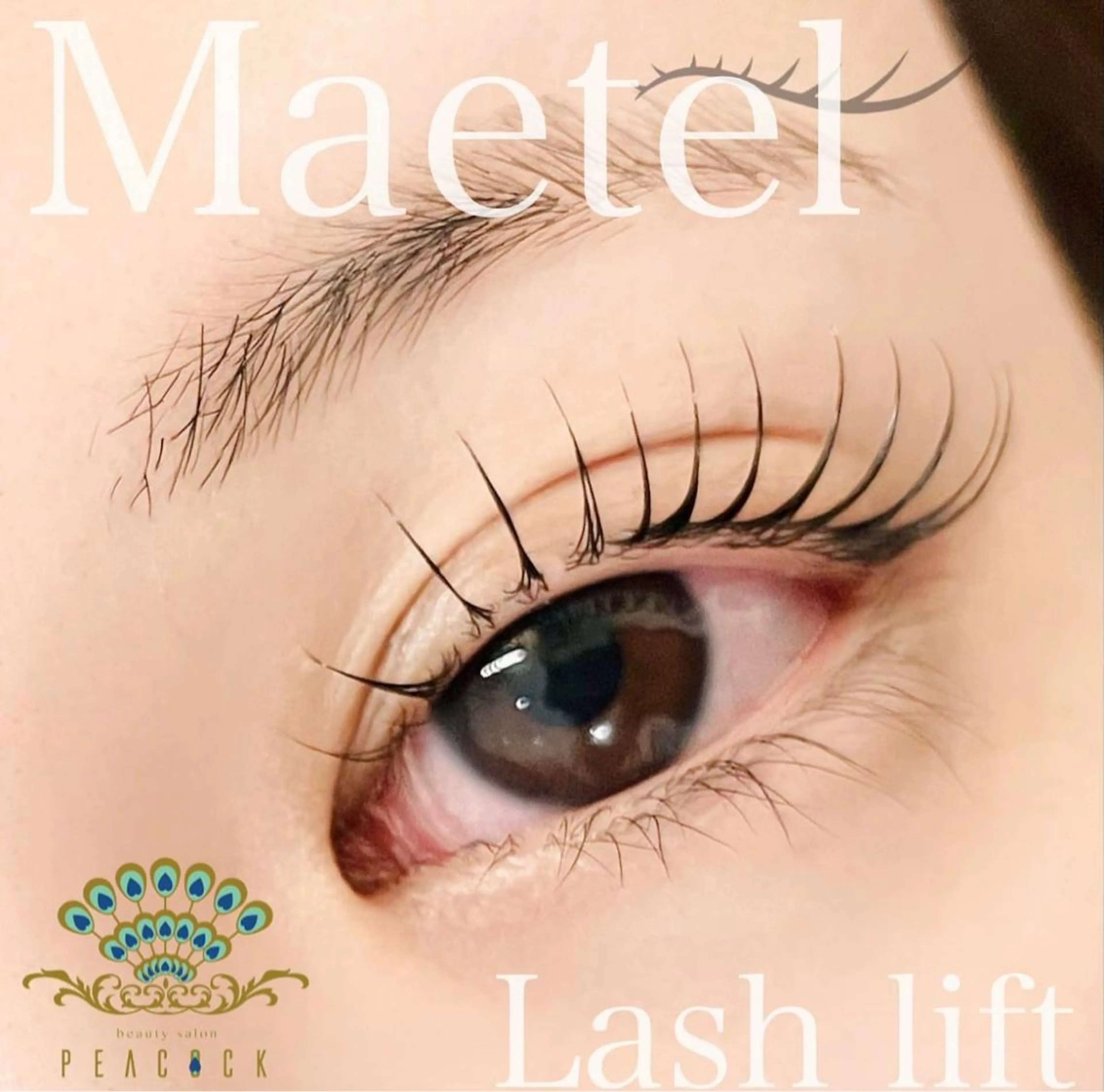 マツエク・マツパ Cカール salon peacockのマツエク・マツパデザイン