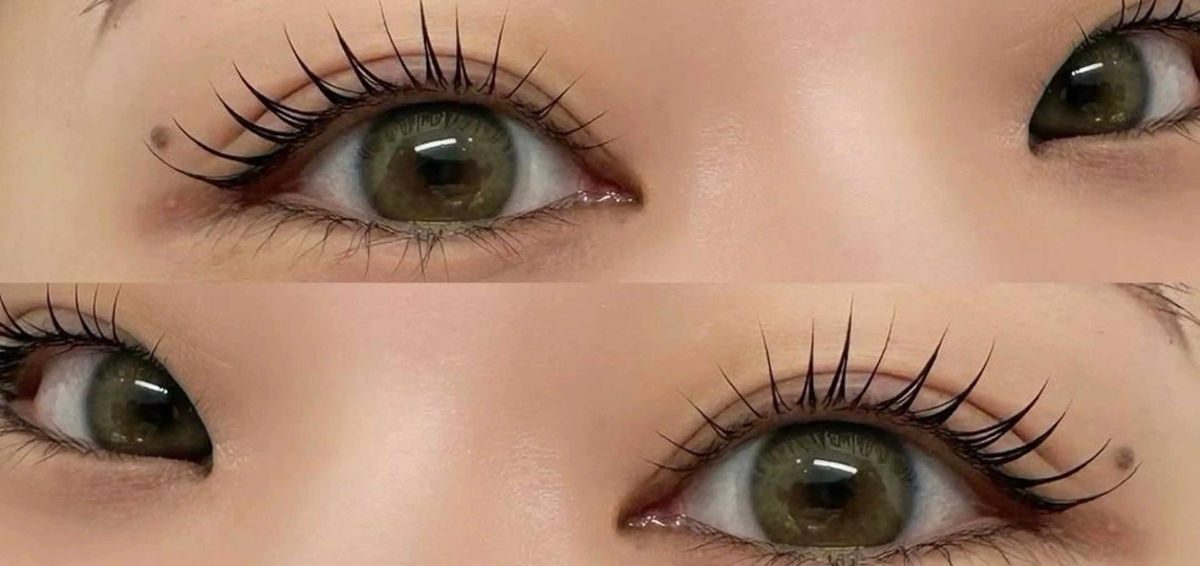 アイブロウデザインWAX＋ハリウッドブロウリフト＋選べるまつ毛パーマ+アイシャンプー¥11600🌟⋆꙳の写真