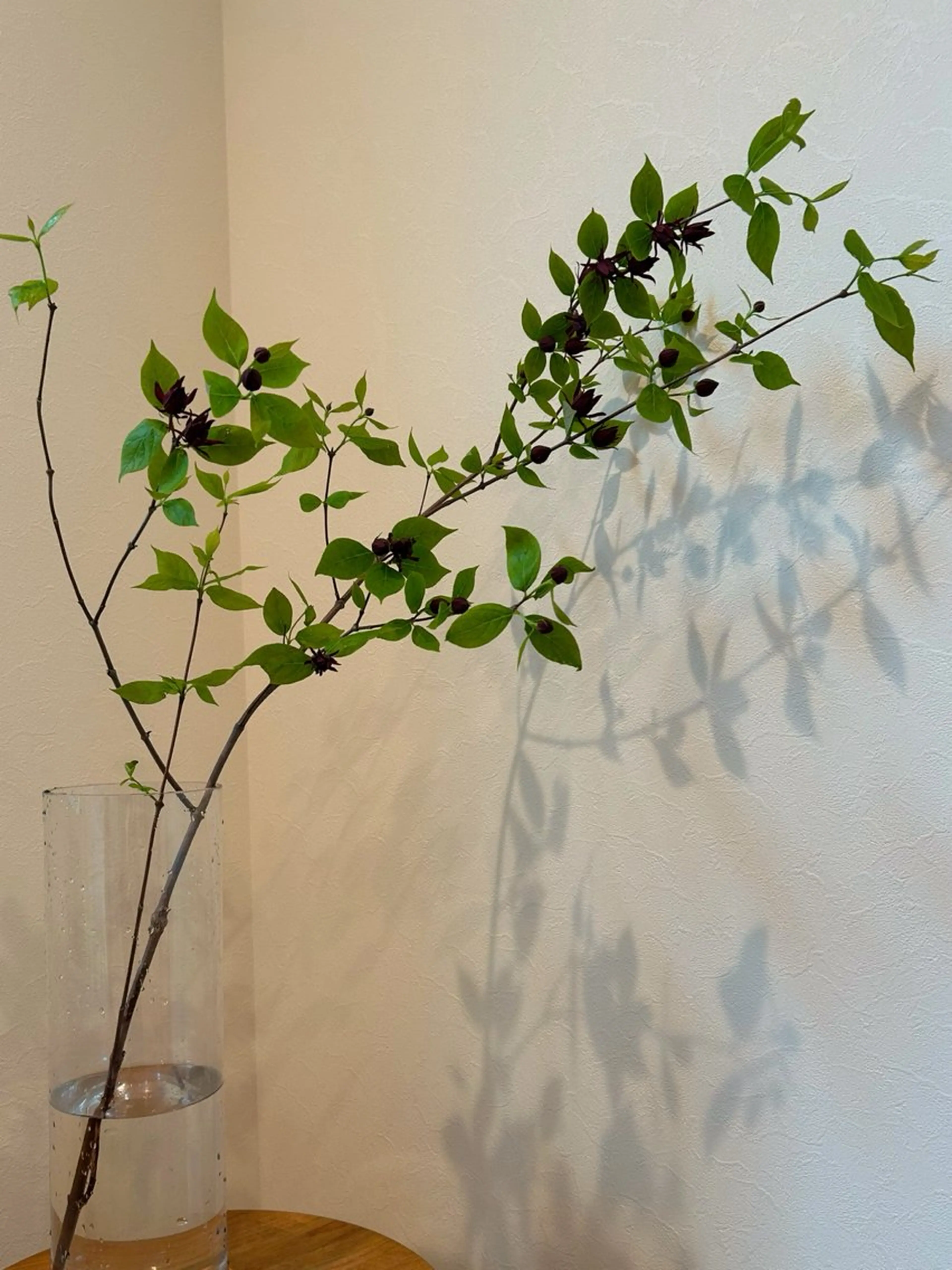 小顔×肌質改善サロン soin〔ソワン〕のエステ・リラクイメージ