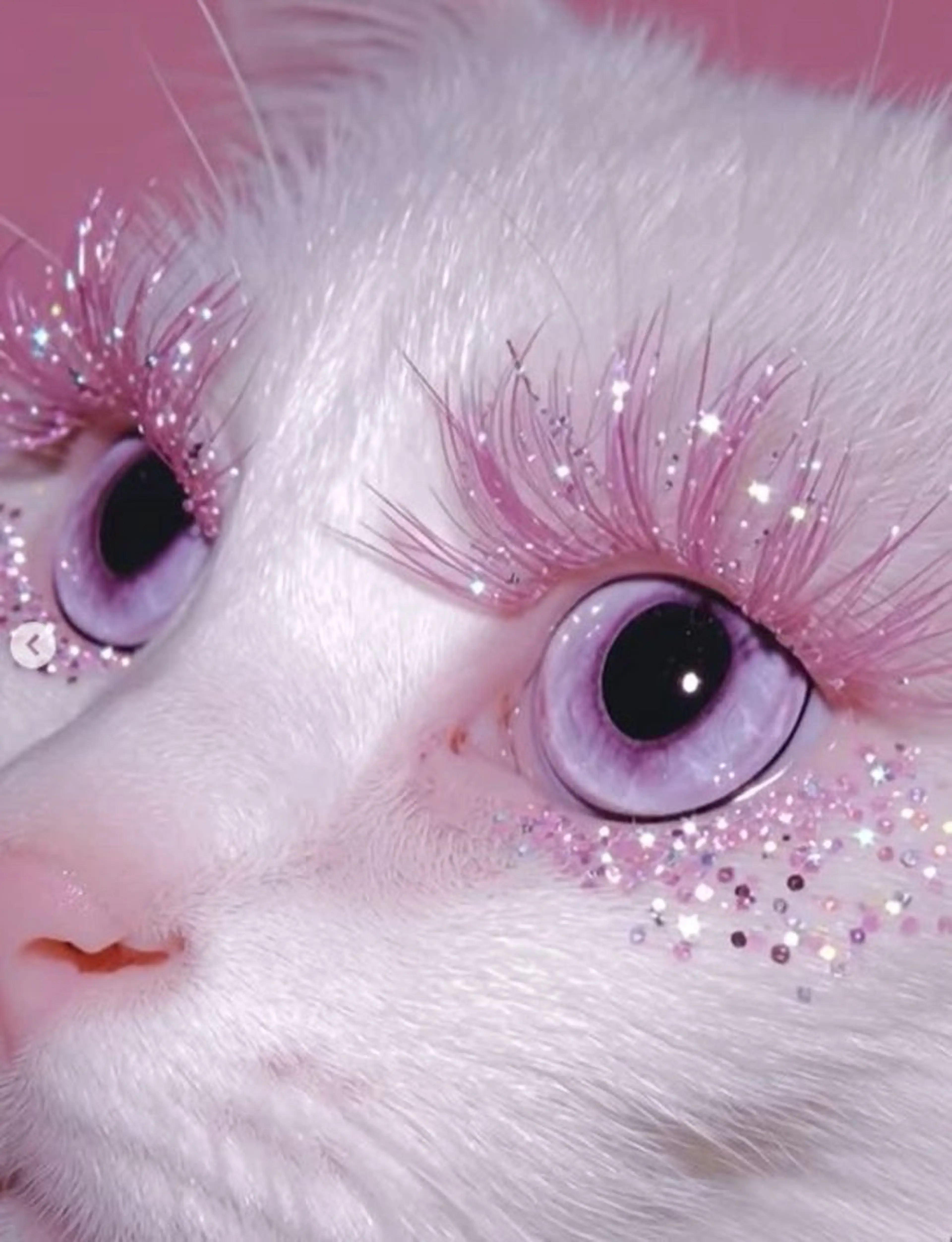 マツエク・マツパ eyelist. mizuki🐈‍⬛のマツエク・マツパデザイン