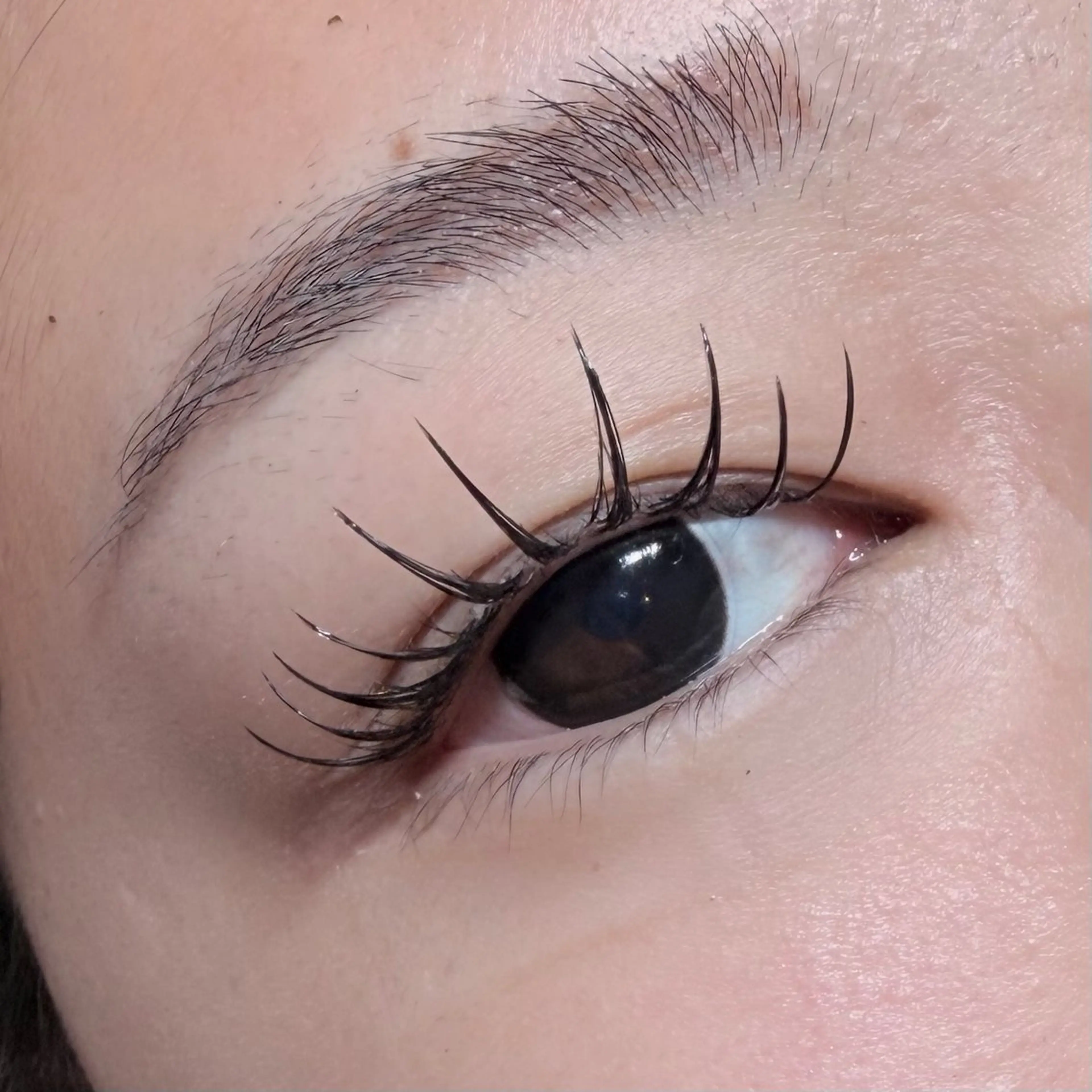 マツエク・マツパ マツエク mako. angelicaのマツエク・マツパデザイン