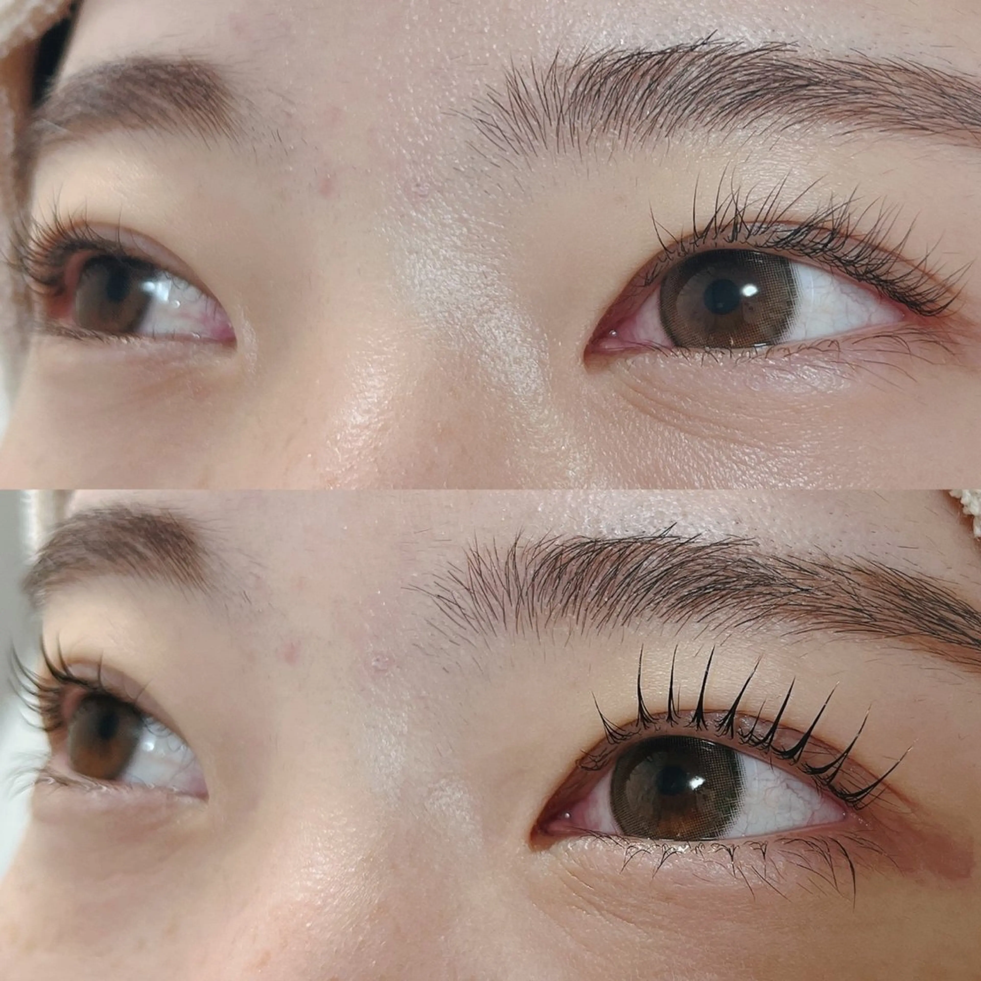 マツエク・マツパ パリジェンヌラッシュリフト アイニコ天神店 徳島のマツエク・マツパデザイン