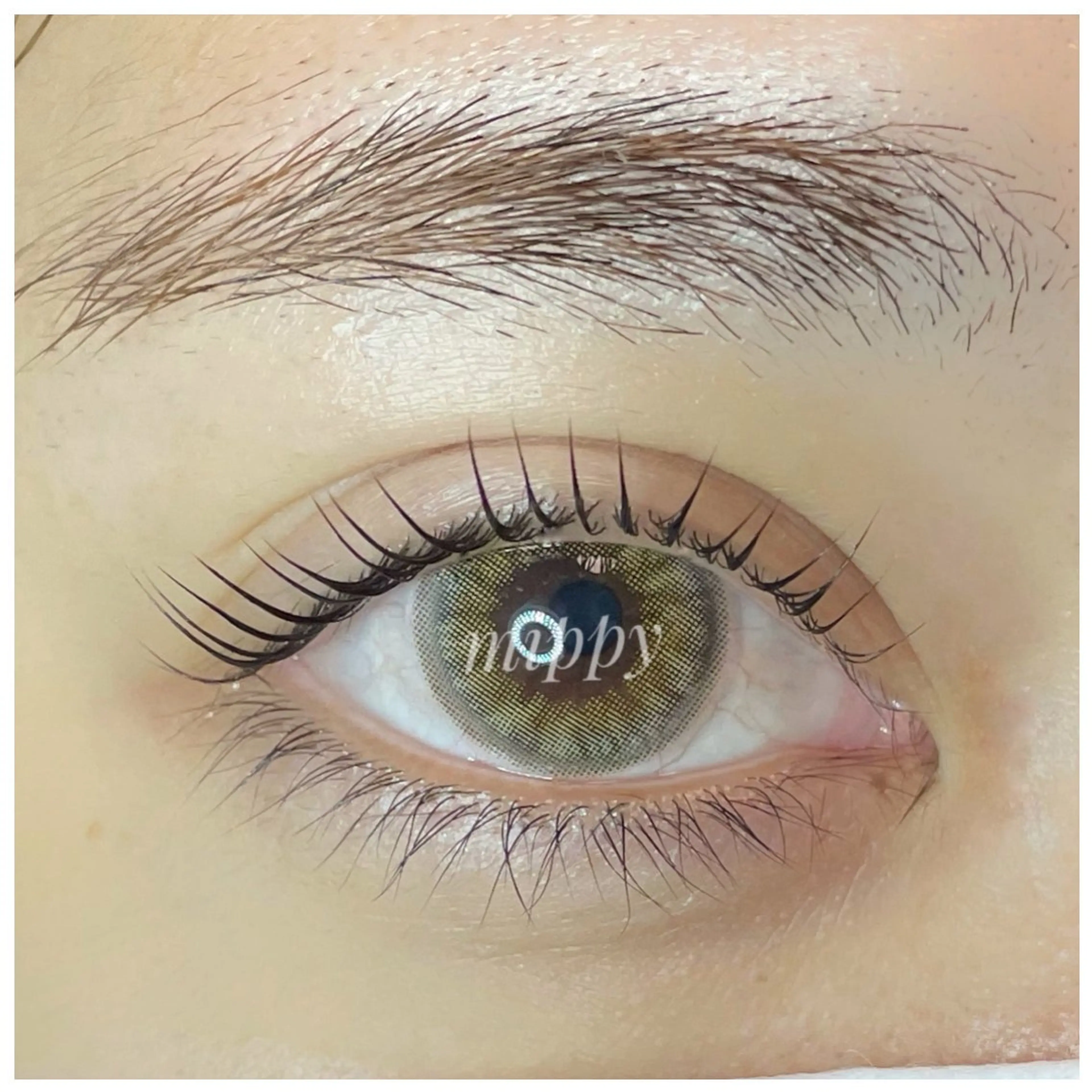 マツエク・マツパ マツパ ｍｉｐｐｙ 🪽のマツエク・マツパデザイン