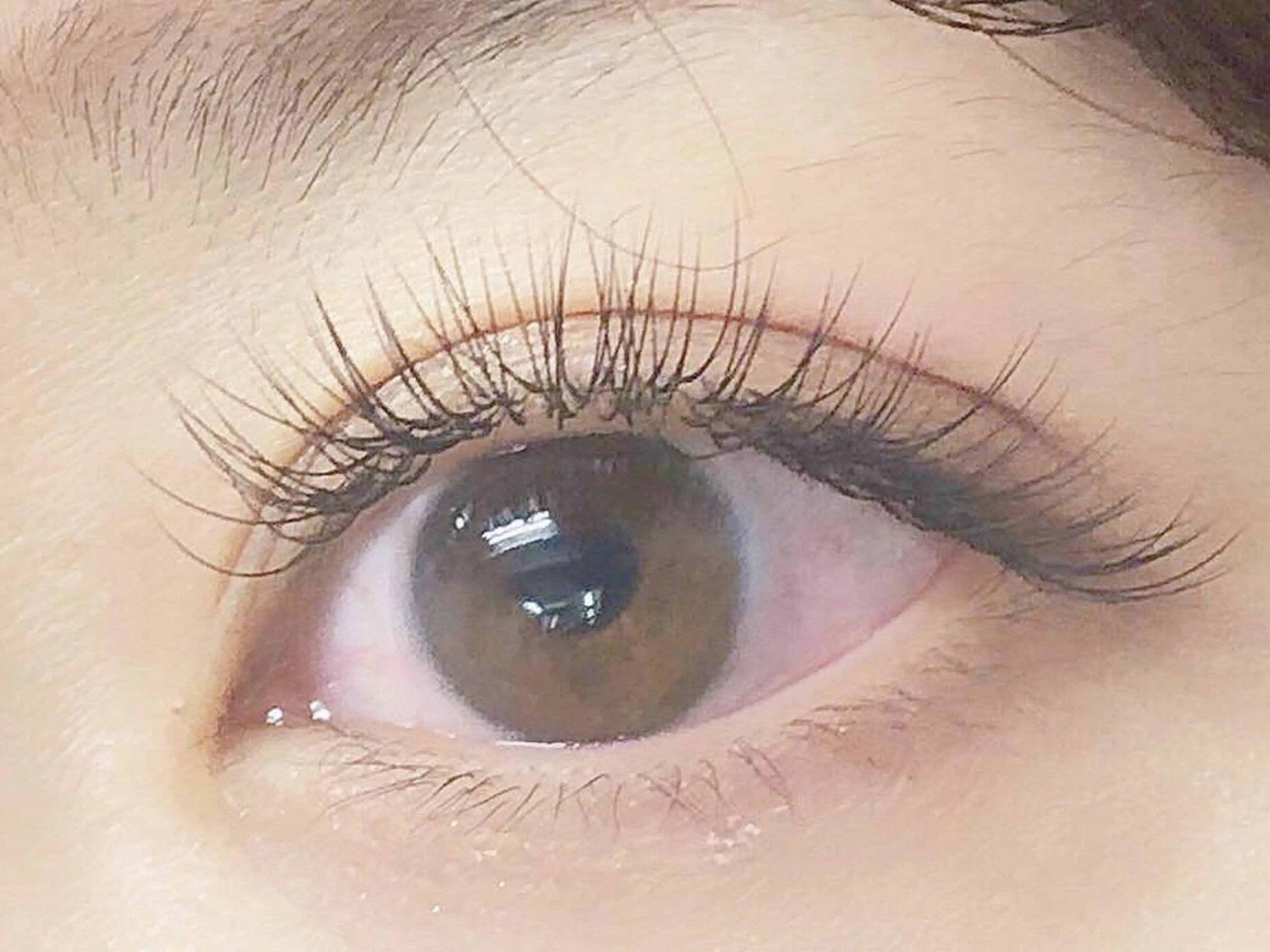 [オフなし] フラットラッシュ🫧シングルエクステ100本［中野/高円寺/阿佐ヶ谷］の写真