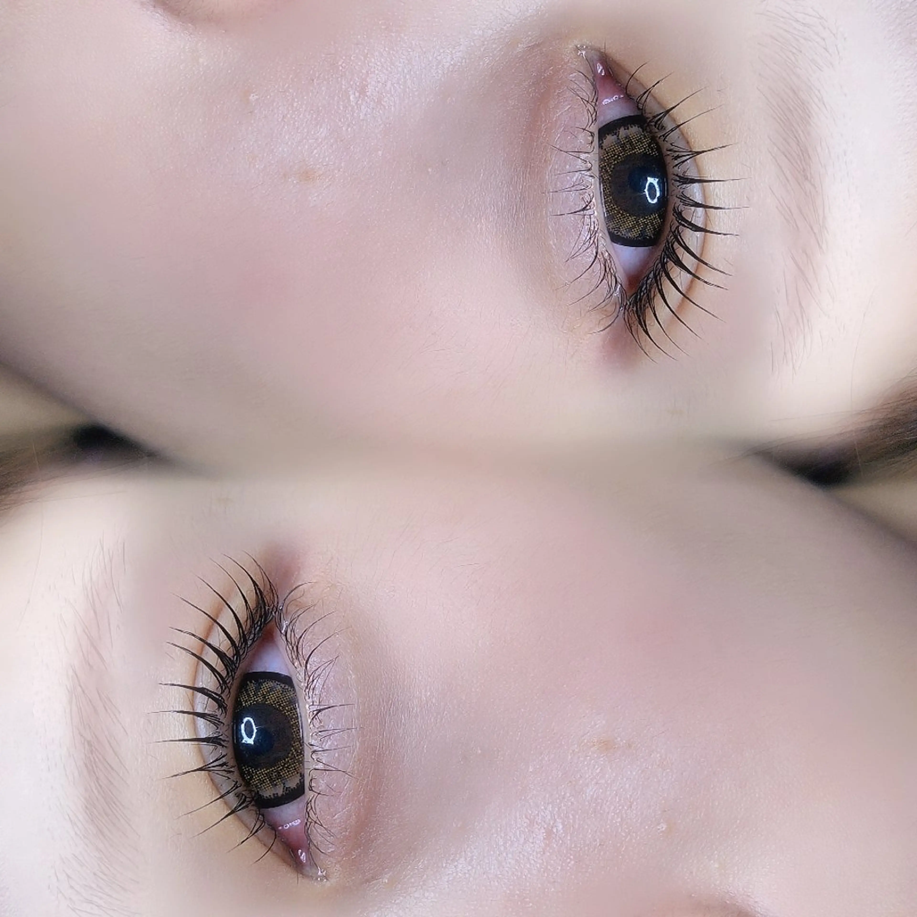 マツエク・マツパ Terra Hair所属・andeyelash sayuriのマツエク・マツパデザイン