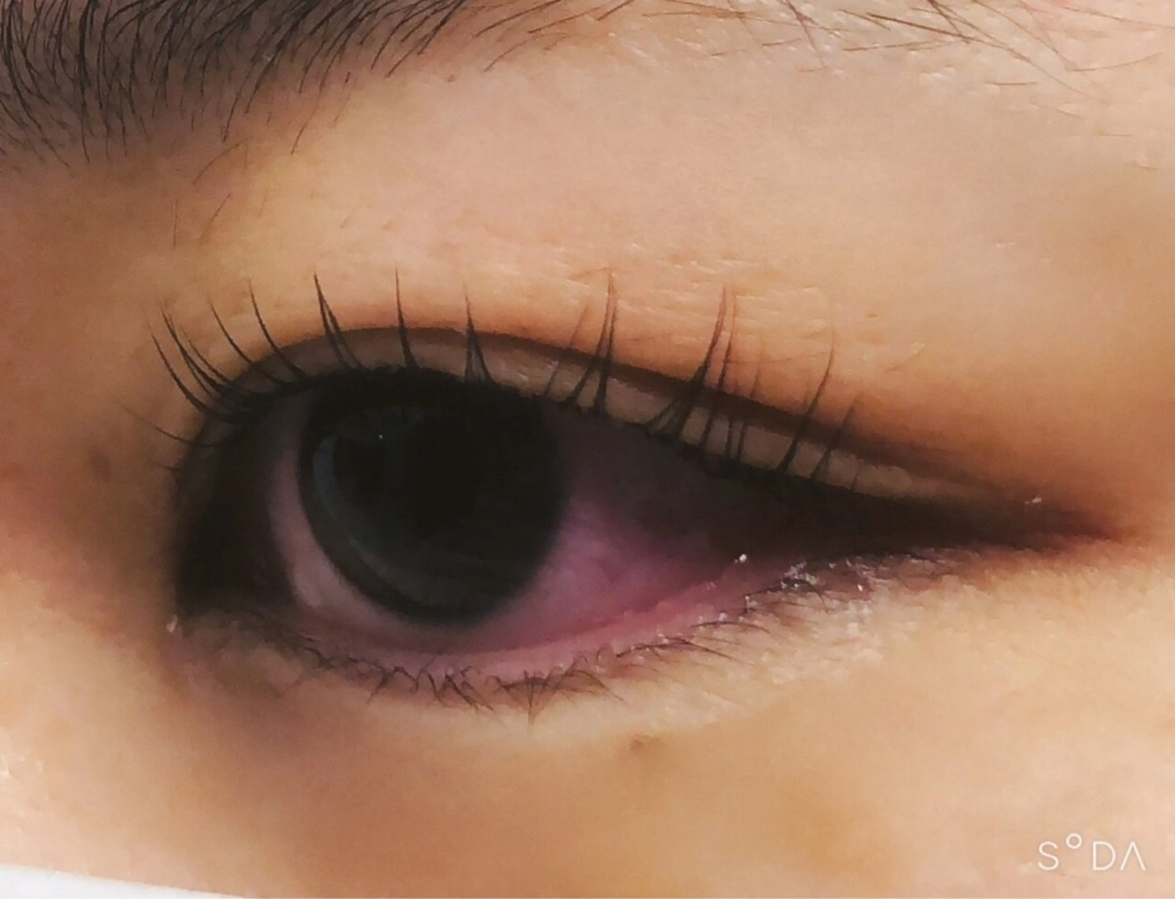 マツエク・マツパ マツパ EYELASHSALON  LUNA LUNA所属・LUNA LUNA byOean’S田中のマツエク・マツパデザイン