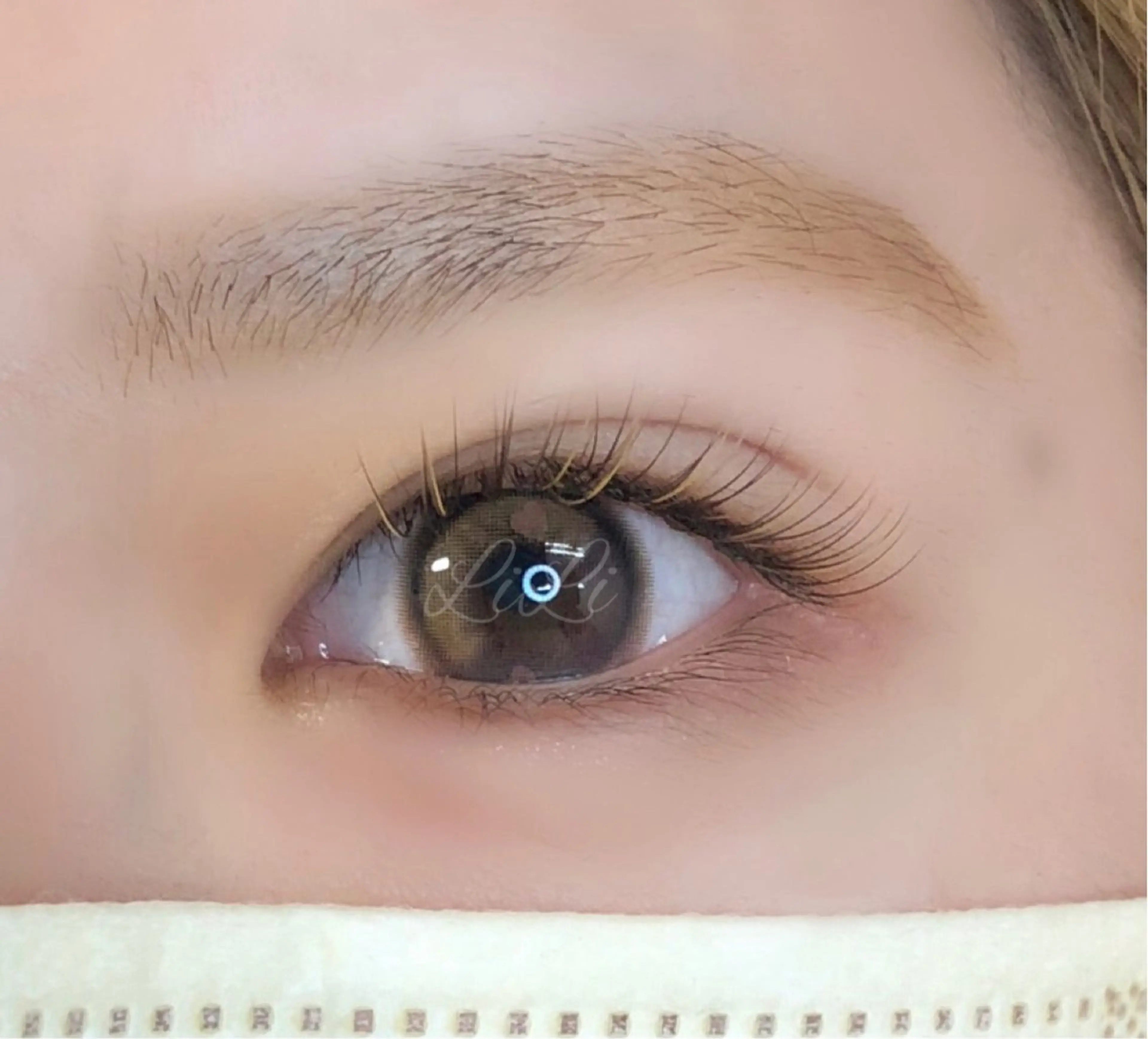 マツエク・マツパ フラットラッシュ まつげエクステLiLi所属・まつげエクステ LiLiのマツエク・マツパデザイン