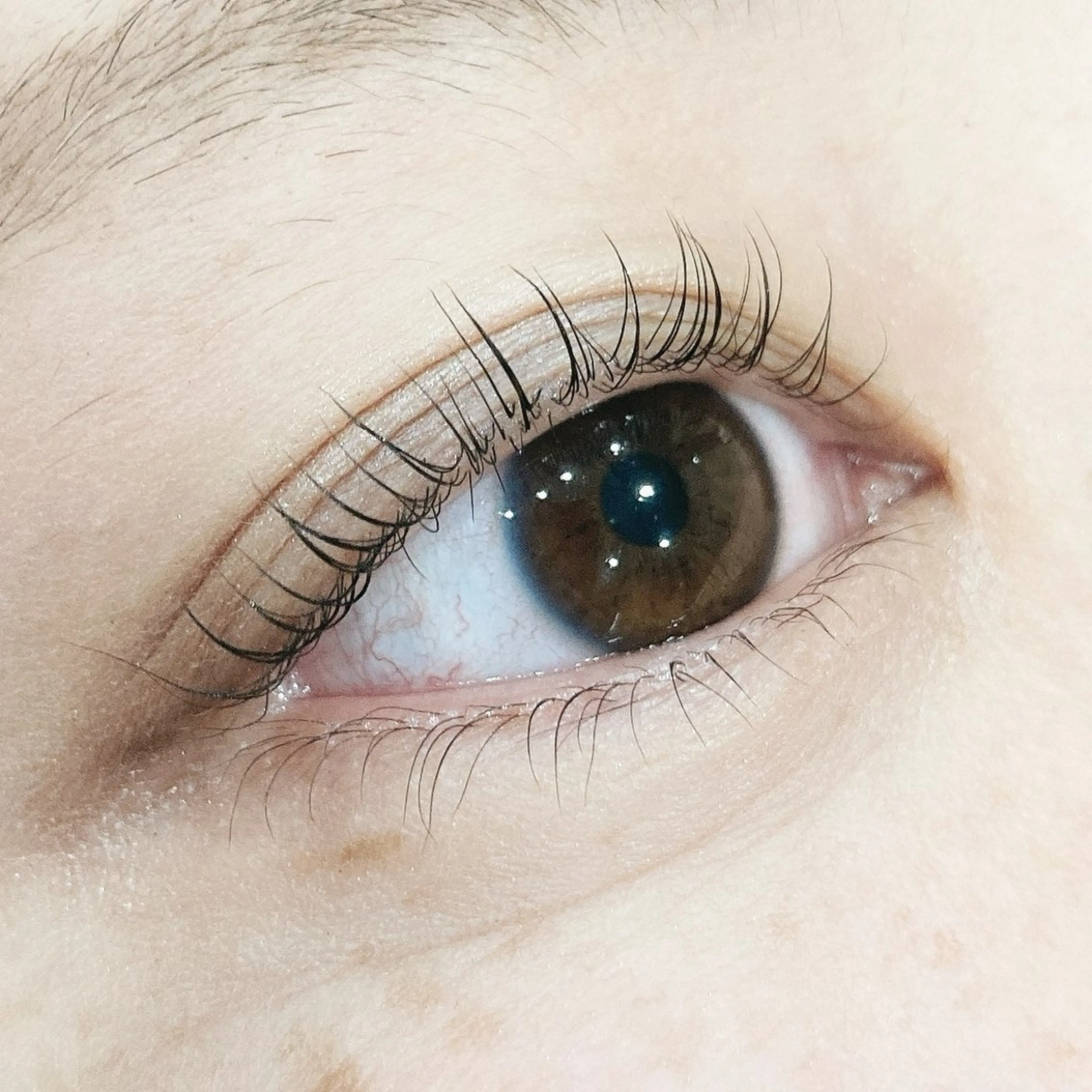 マツエク・マツパ まつげパーマ マツパ まつパ/まつエク /横浜　🤍木村🤍のマツエク・マツパデザイン