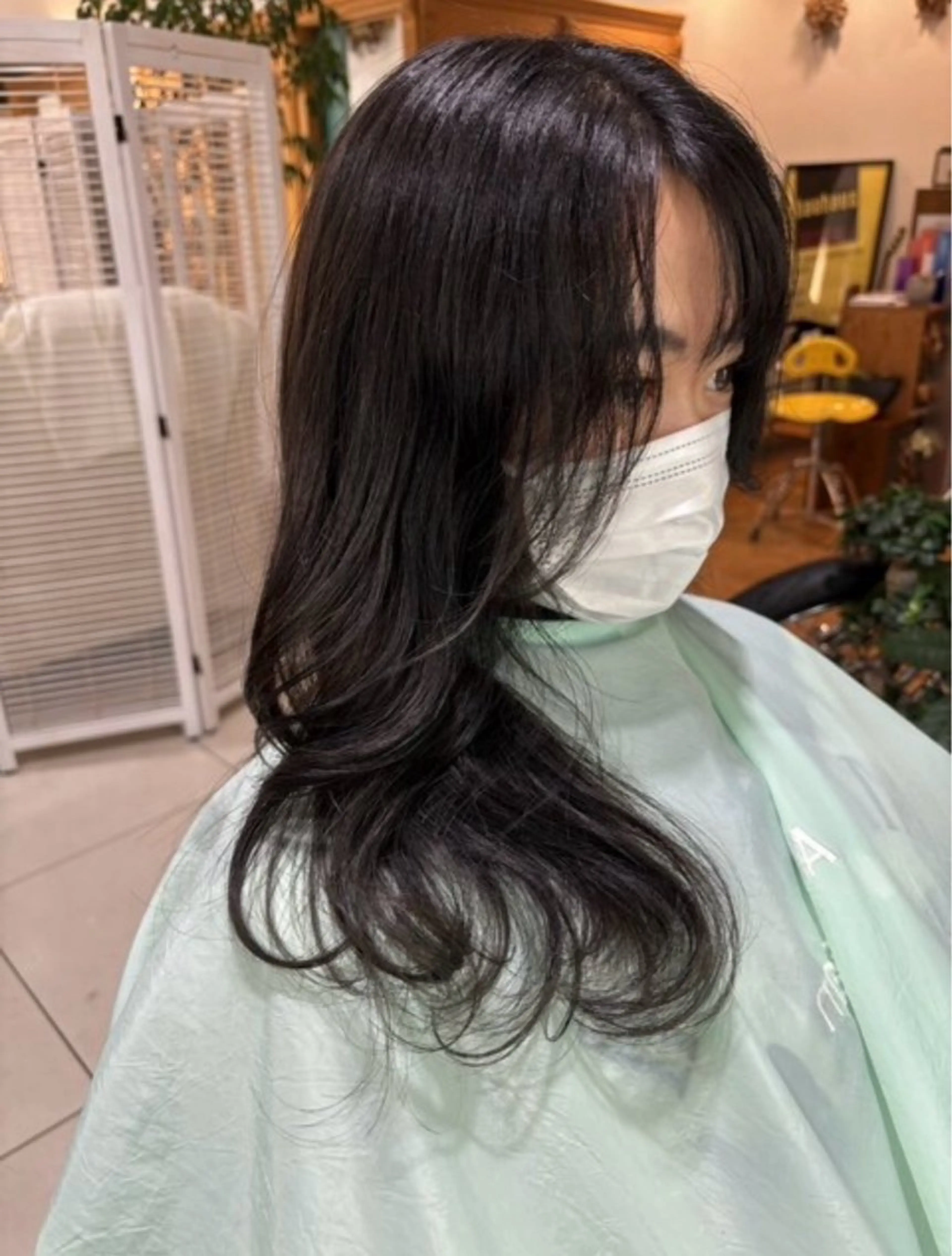 ワンカラー、フルカラー(SB込)の写真