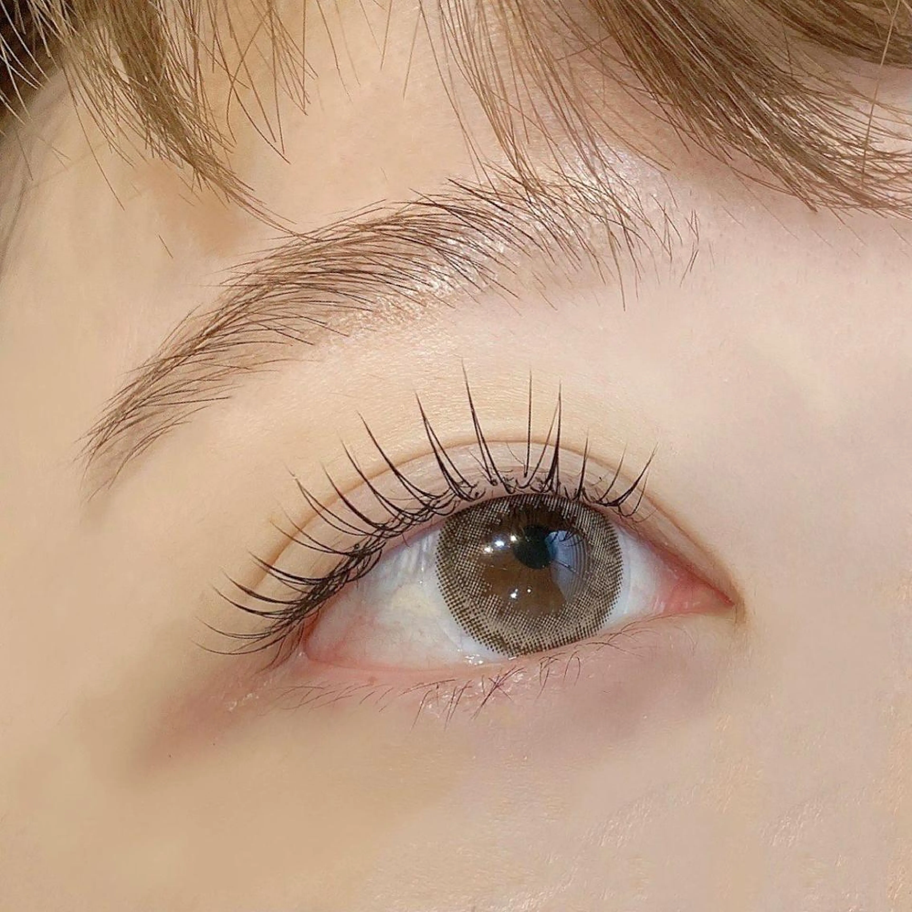 マツエク・マツパ フラットラッシュ ナチュラル 束感パリジェンヌ上下 恵比寿ayakaのマツエク・マツパデザイン