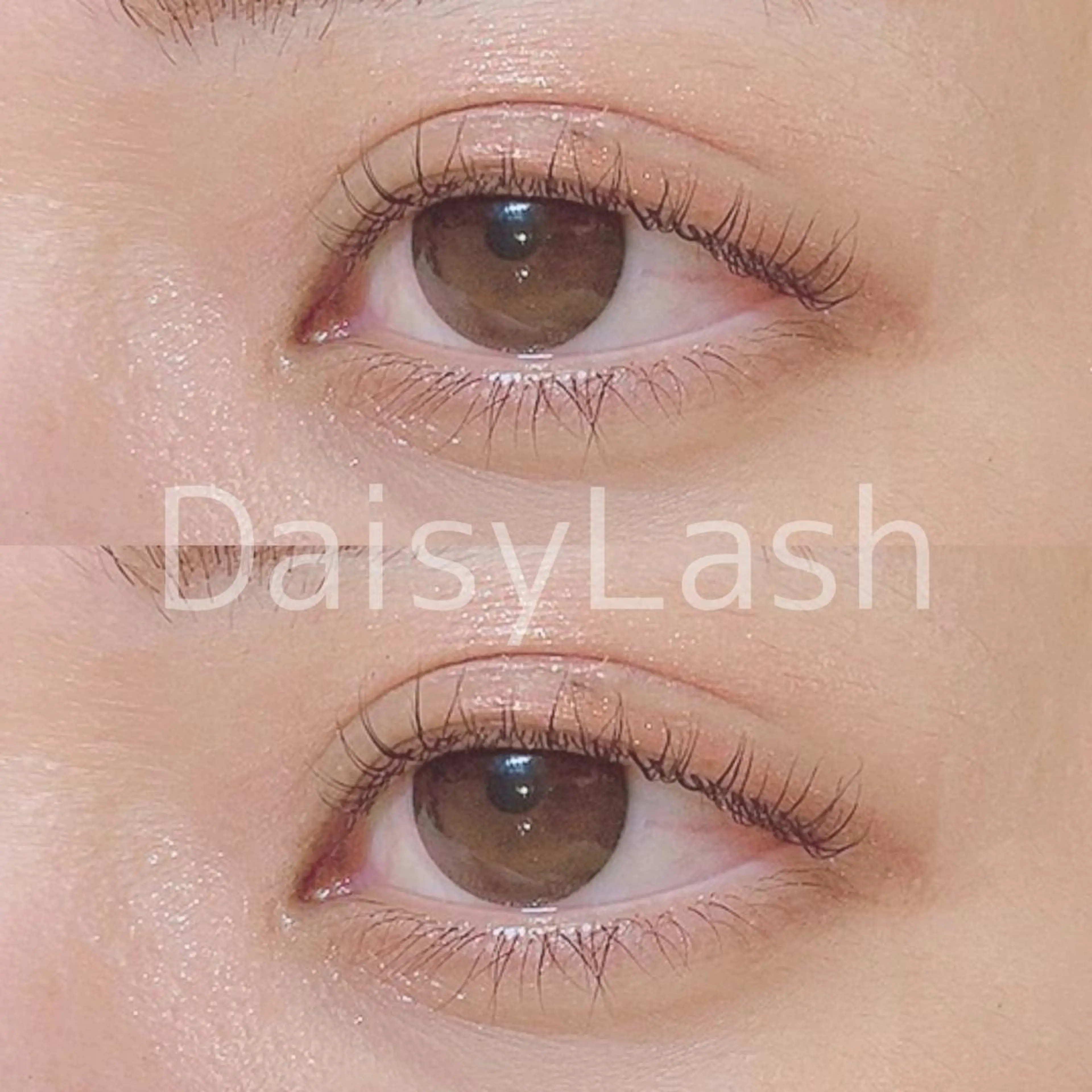 マツエク・マツパ DaisyLash 京橋店のマツエク・マツパデザイン