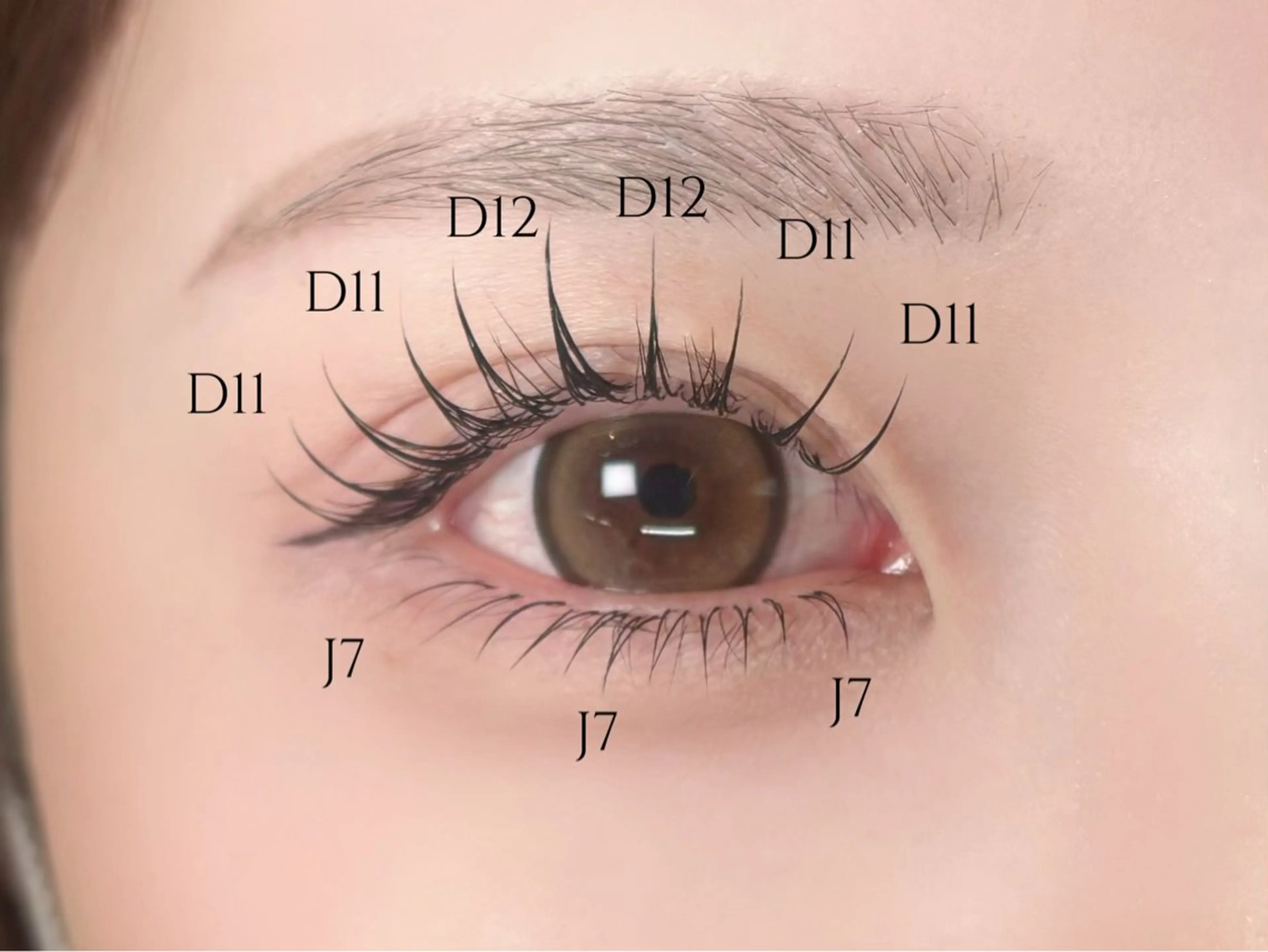 【SETメニュー☆】アイブロウ+フラットラッシュ120本🎀(新規オフ無料、上のみ)の写真