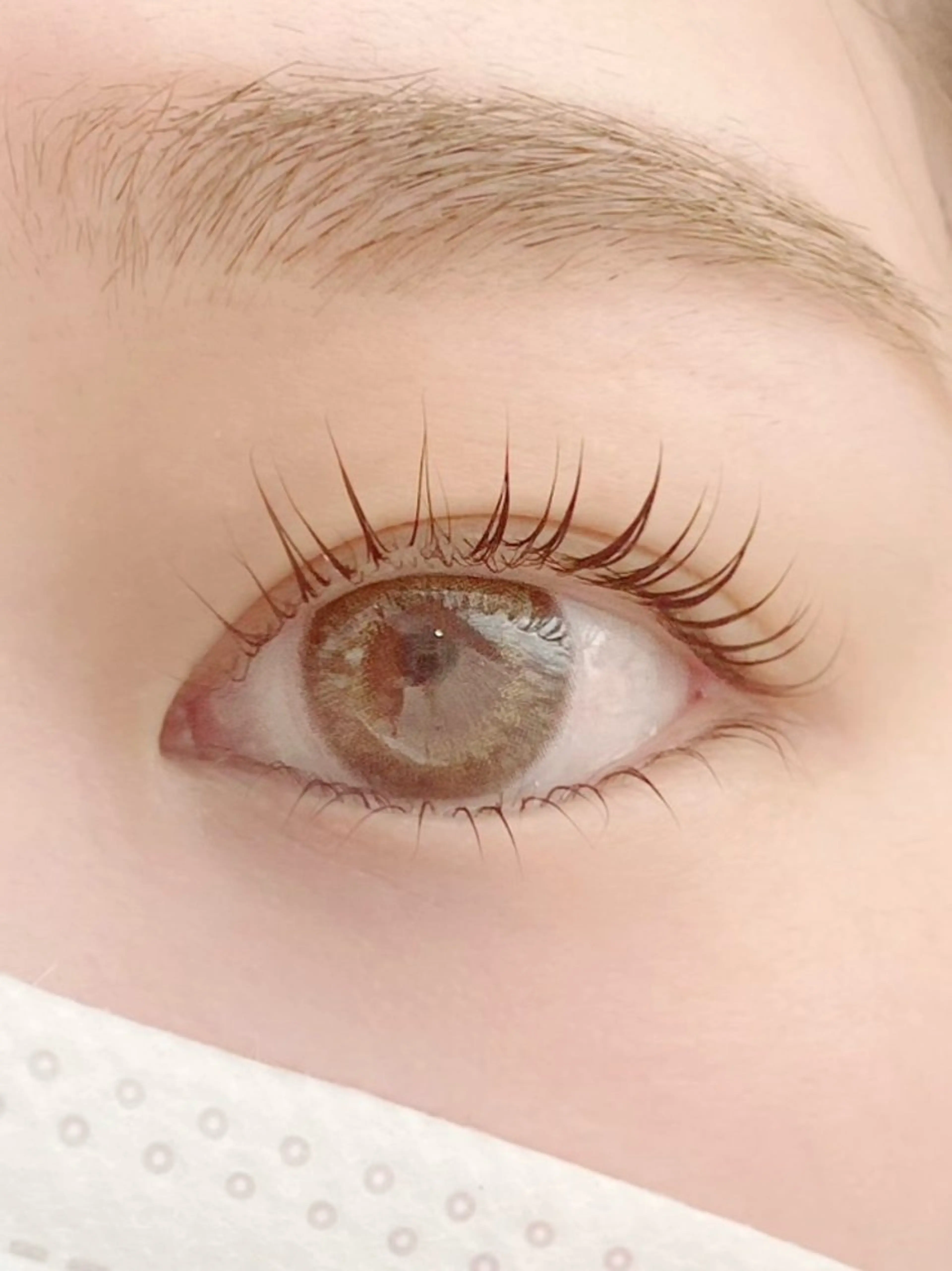 マツエク・マツパ レヴ lev.のマツエク・マツパデザイン