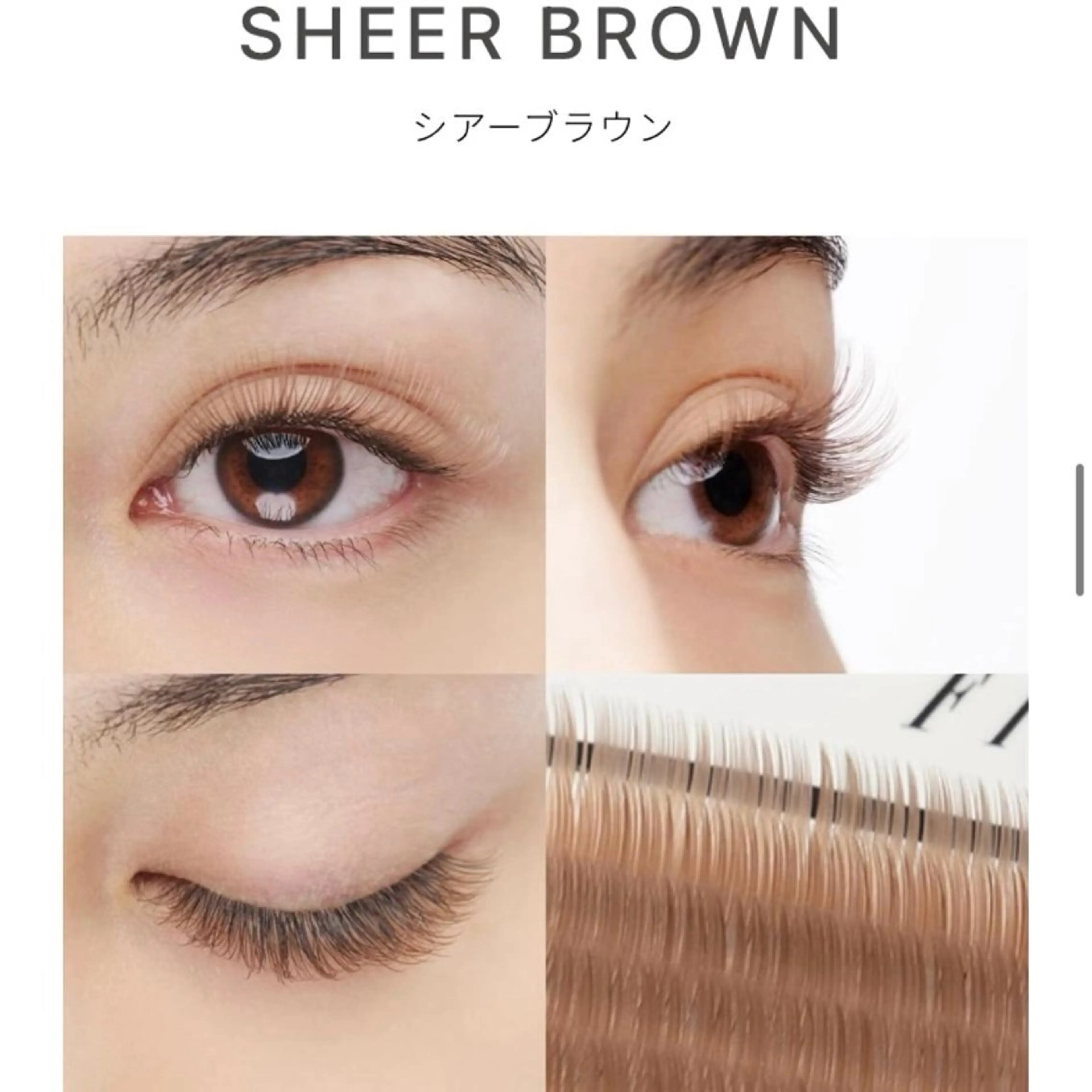 マツエク・マツパ カノウ アオイ🐰のマツエク・マツパデザイン