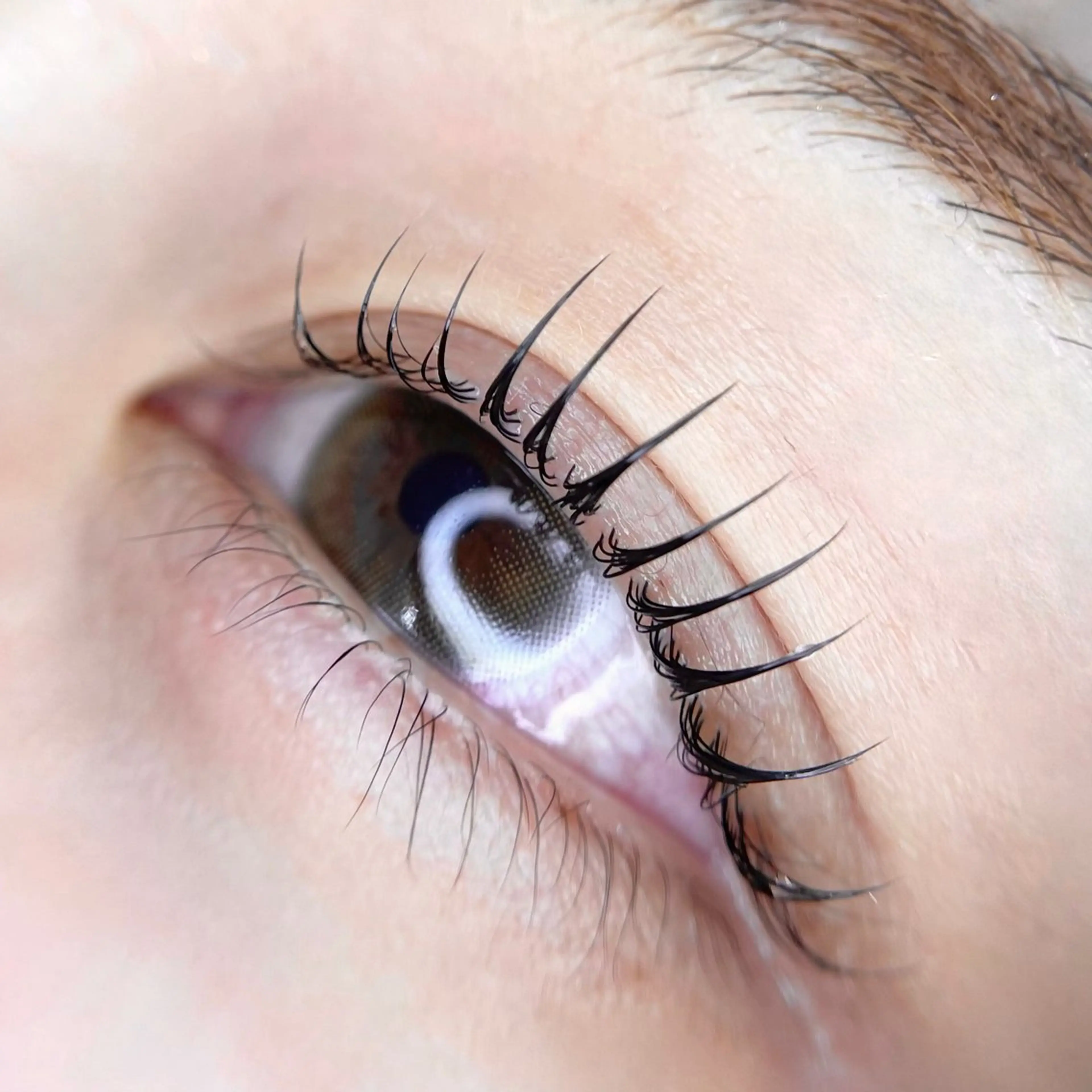 似合わせまつ毛パーマ【上のみ】✨80種類以上のデザインから選べる🫧どなたでも安心の仕上がり※パリジェンヌ変更可能の写真