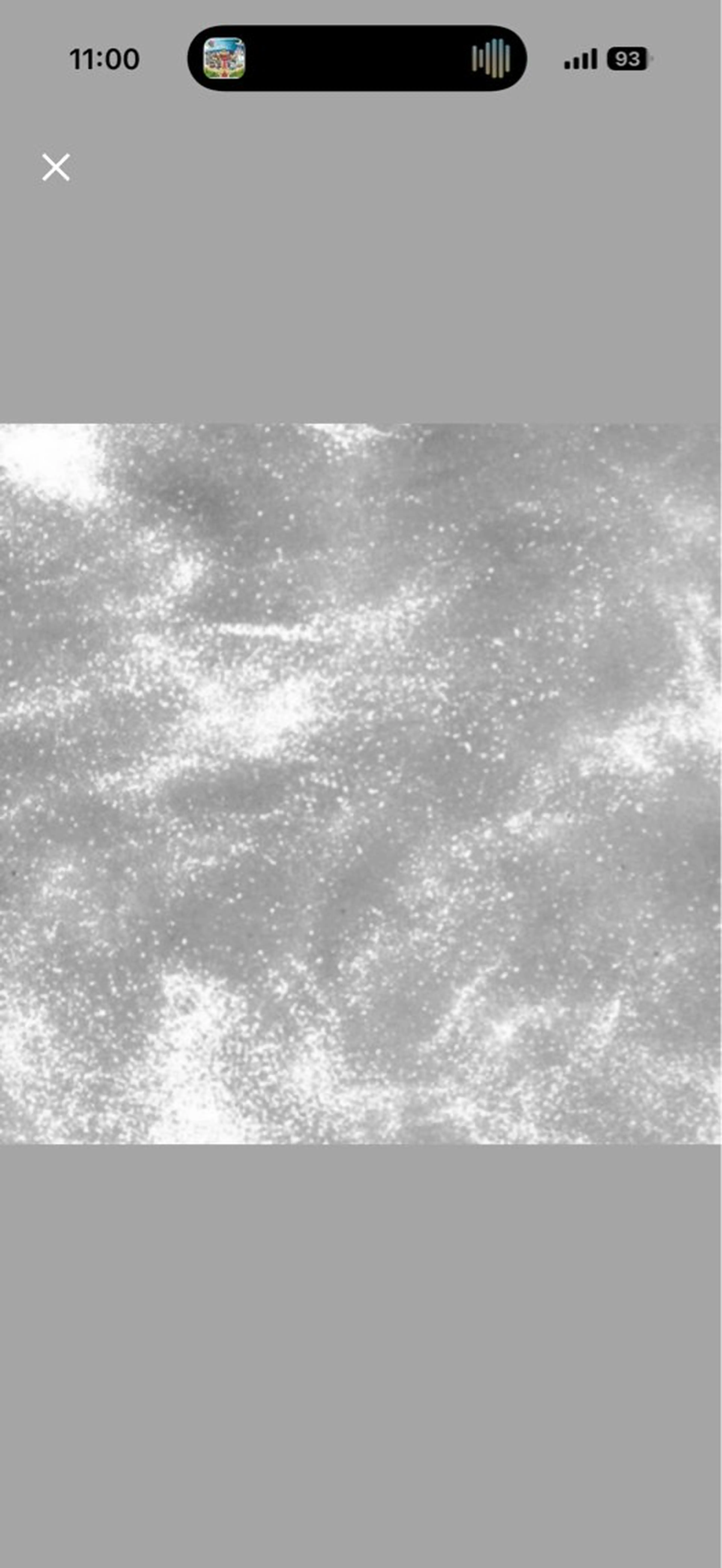 マツエク・マツパ Bianca Reika⭐️のマツエク・マツパデザイン