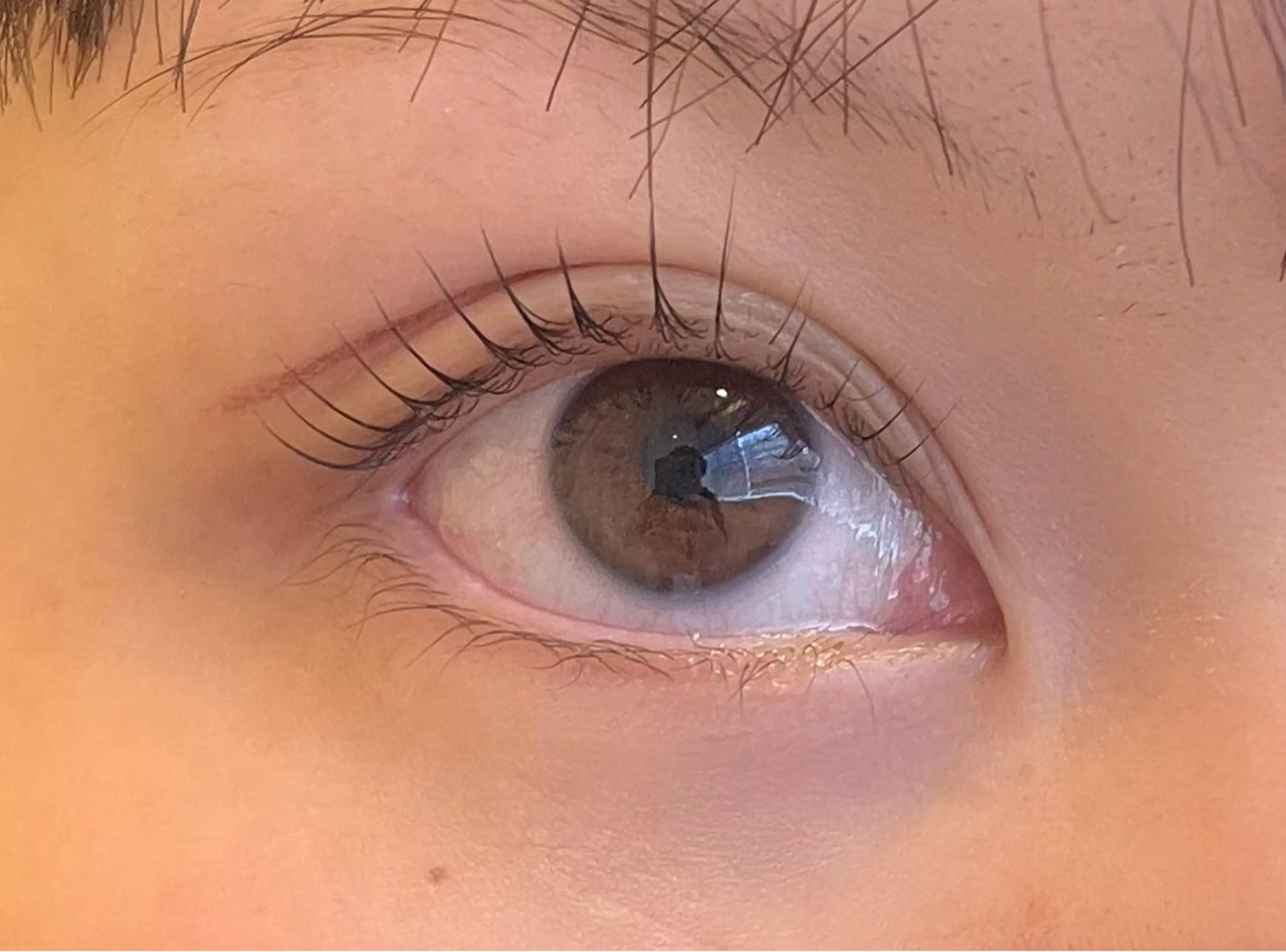 マツエク・マツパ ココラッシュ所属・ココラッシュ ニタオの眉毛・アイブロウイメージ