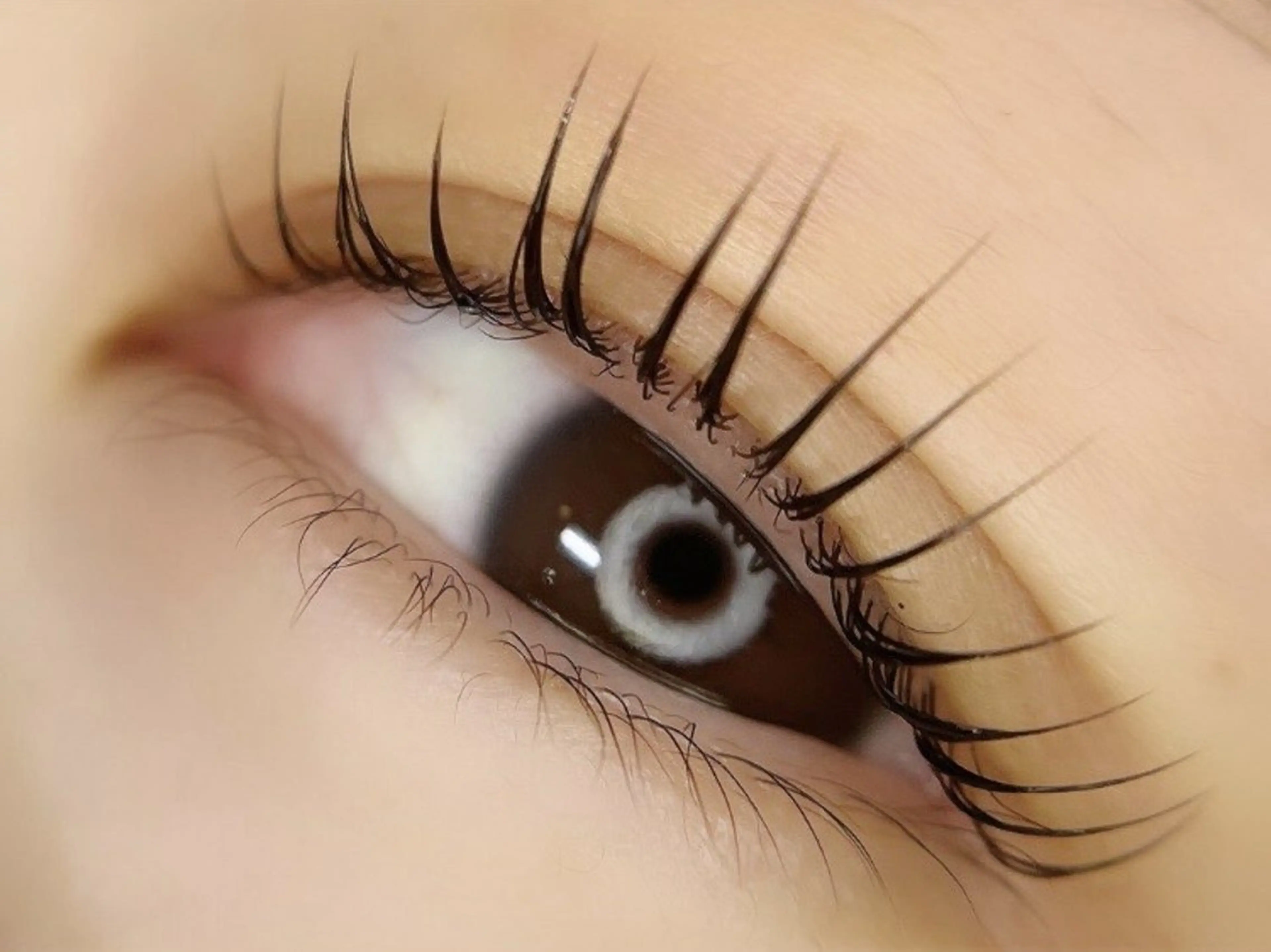 マツエク・マツパ マツパ LaMa staff★のマツエク・マツパデザイン