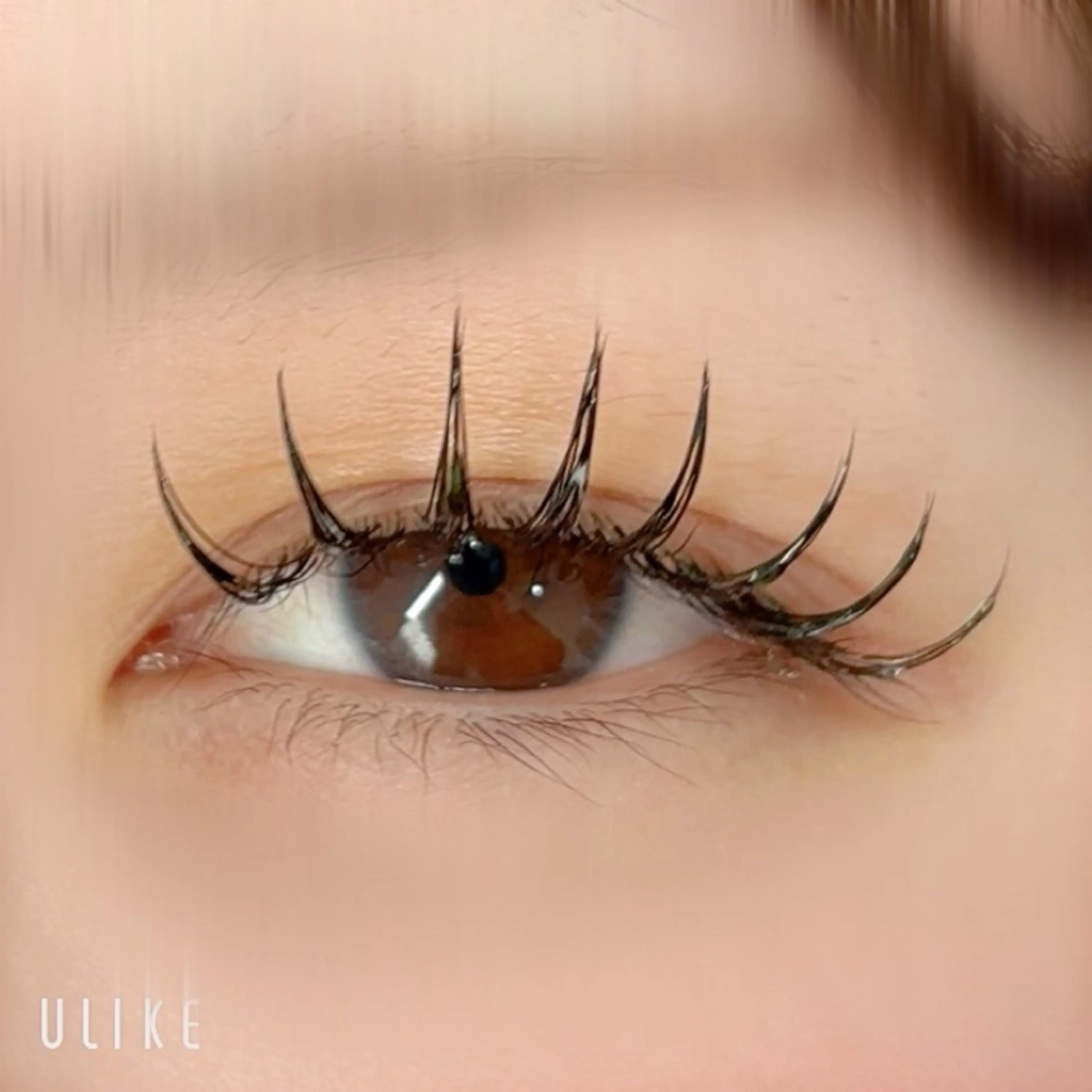 マツエク・マツパ マツエク sHeeR【シアー】 ハマナカのマツエク・マツパデザイン