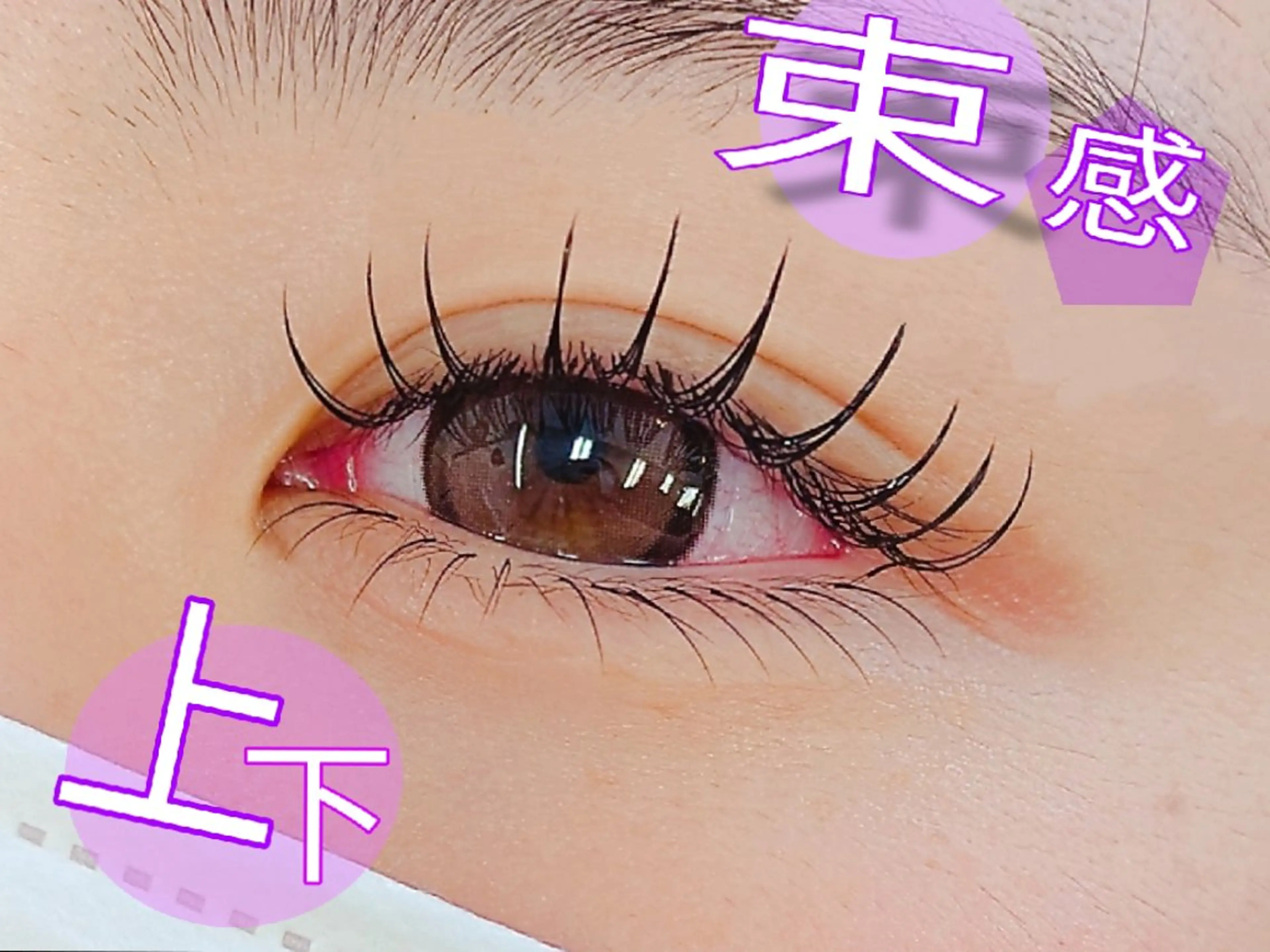 マツエク・マツパ 《amii》 ☆さいとうのマツエク・マツパデザイン