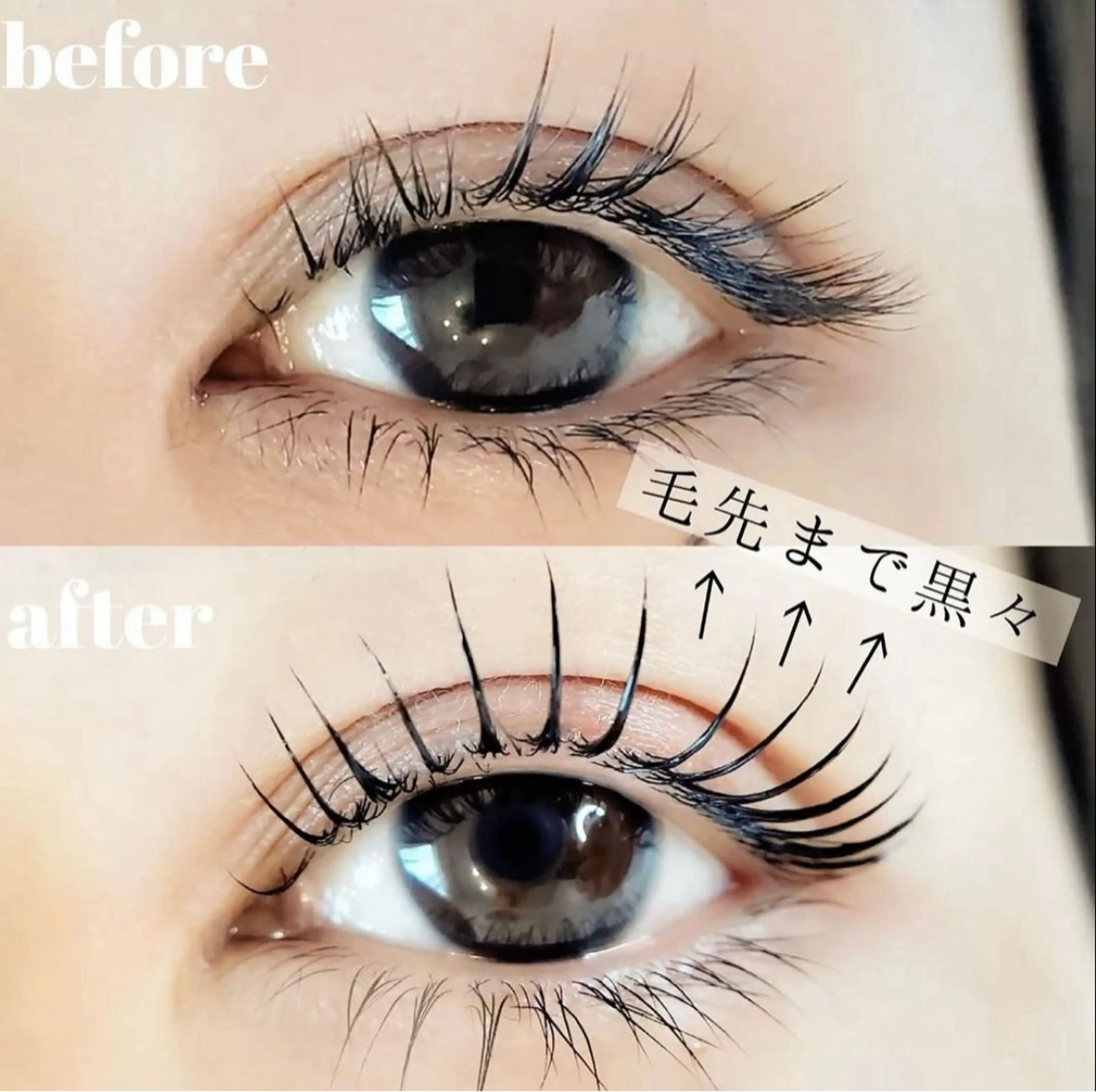 🌈美睫育マスカラパーマ👀🖤の写真