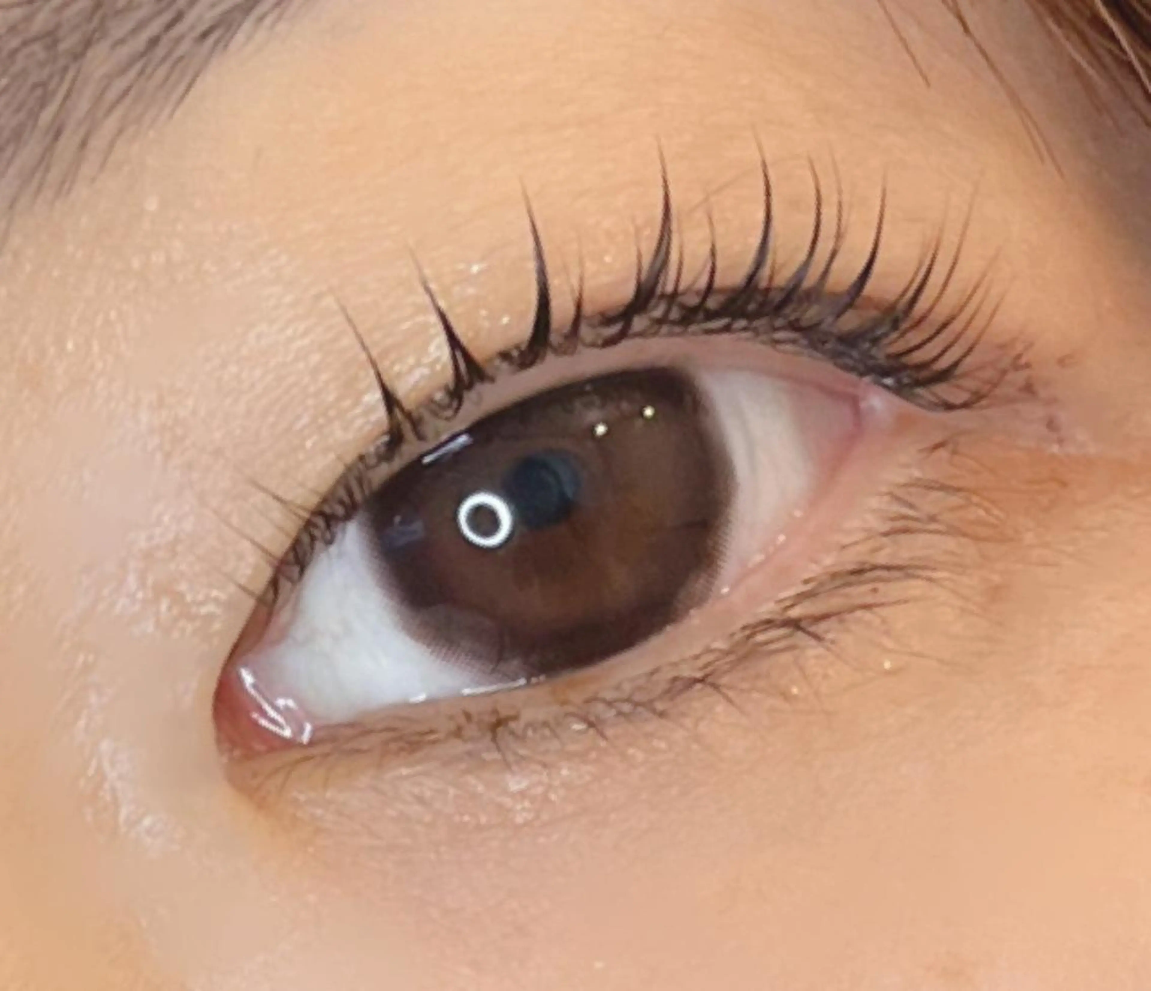 マツエク・マツパ 《eyelash ｉｉｔｅ》森のマツエク・マツパデザイン