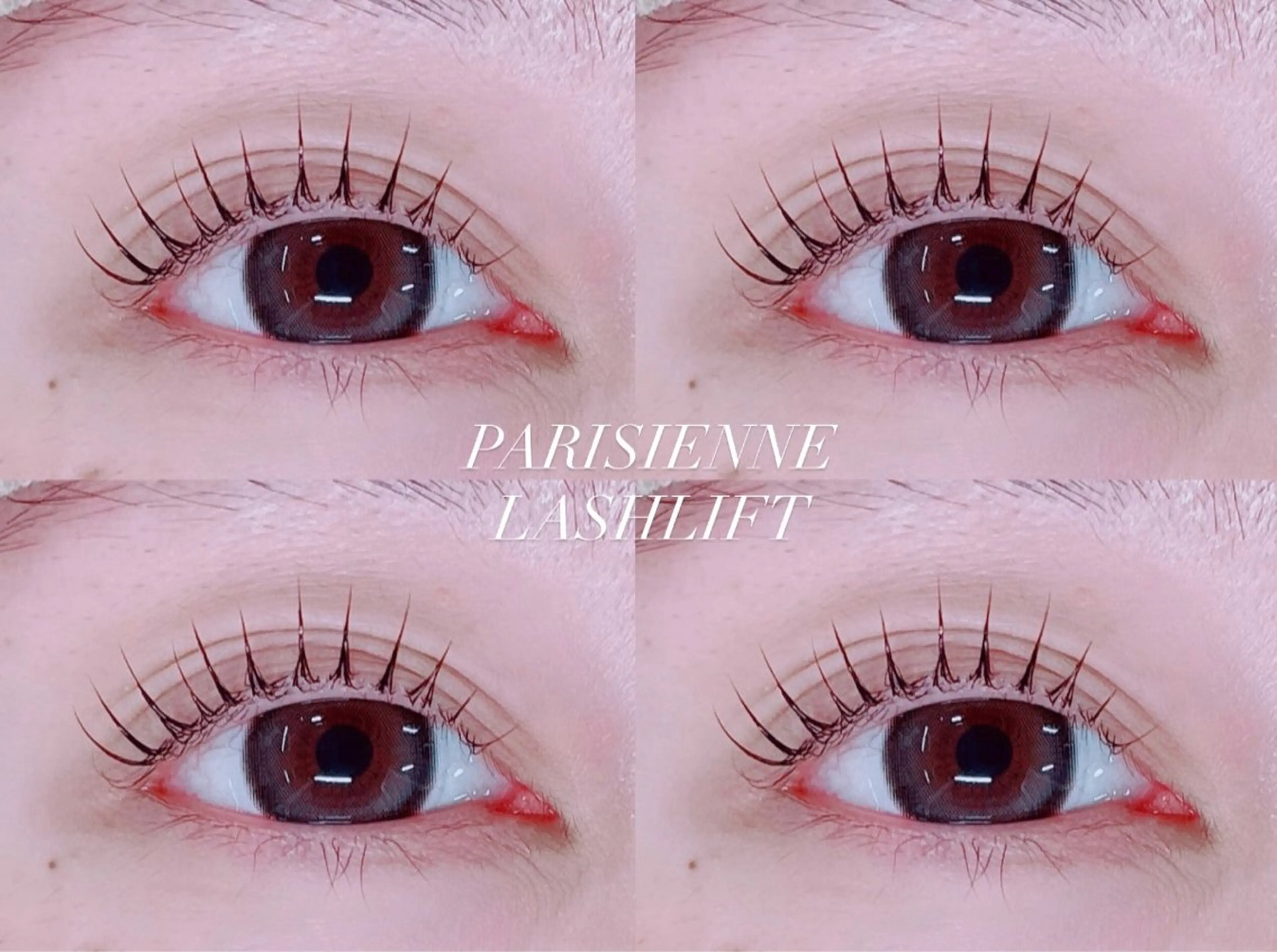 マツエク・マツパ Shucre名駅🖤 MOMOKAのマツエク・マツパデザイン