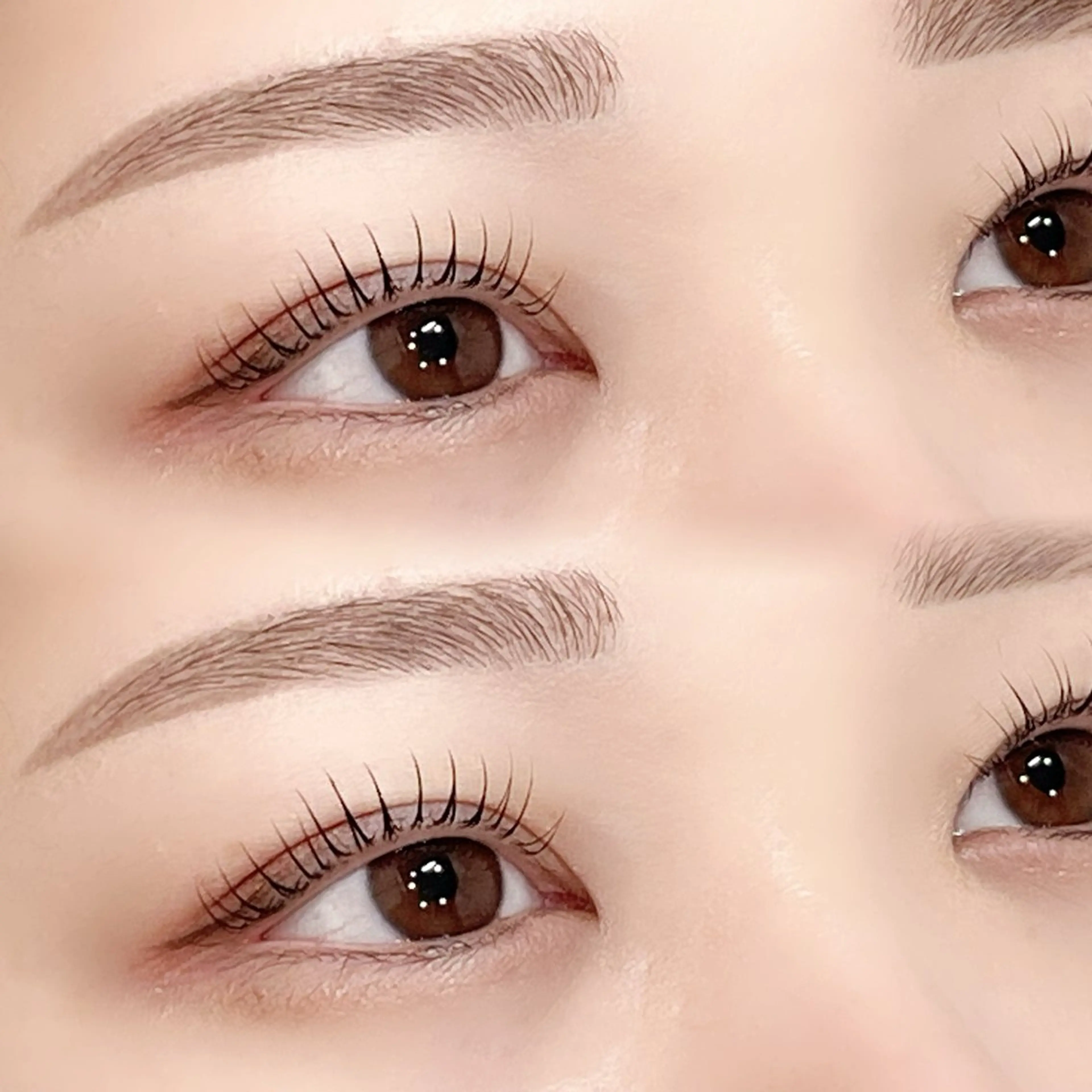 美眉スタイリング&まつげパーマ&トリートメント💫🤍の写真