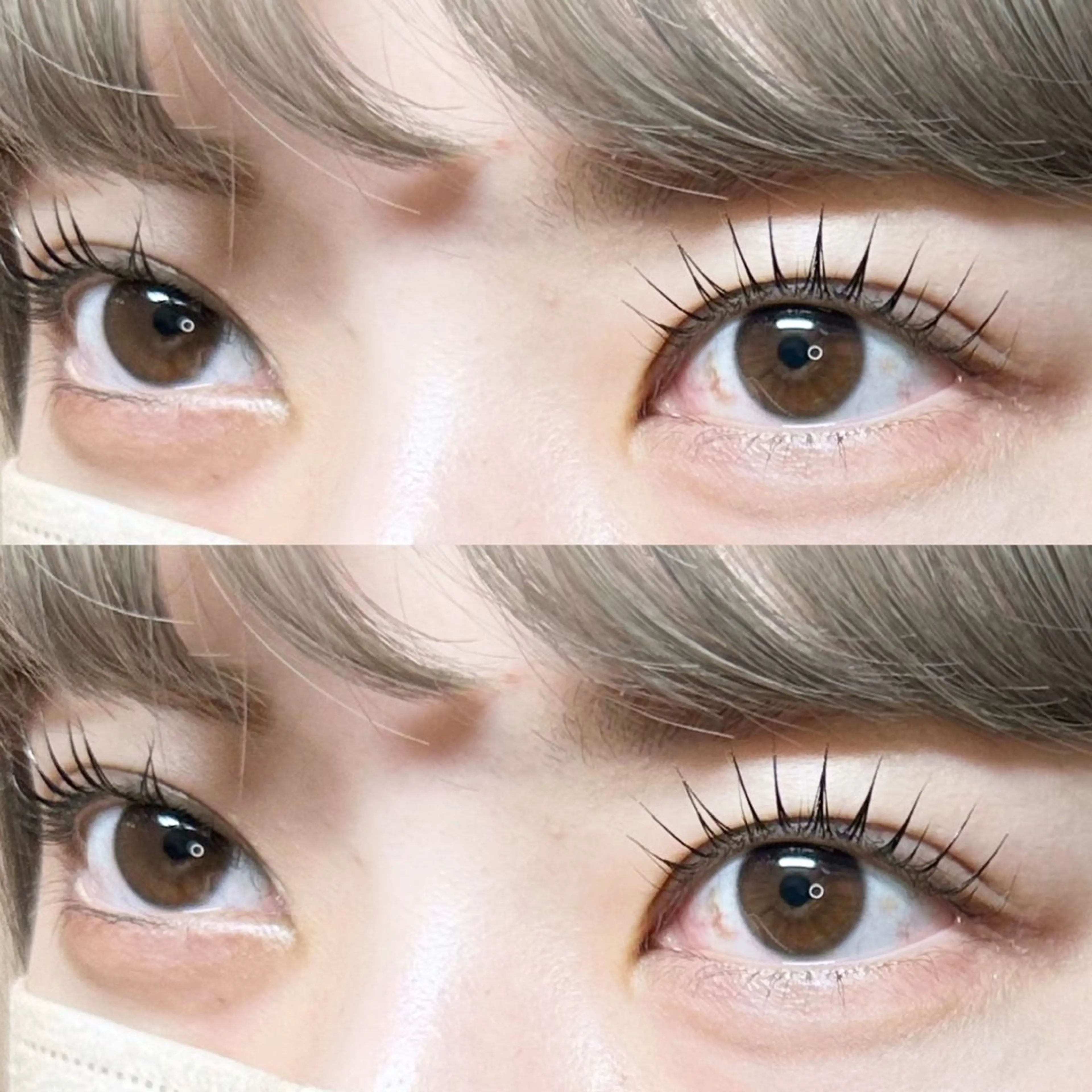 パリジェンヌラッシュリフト✖️ハリウッドブロウリフトの写真