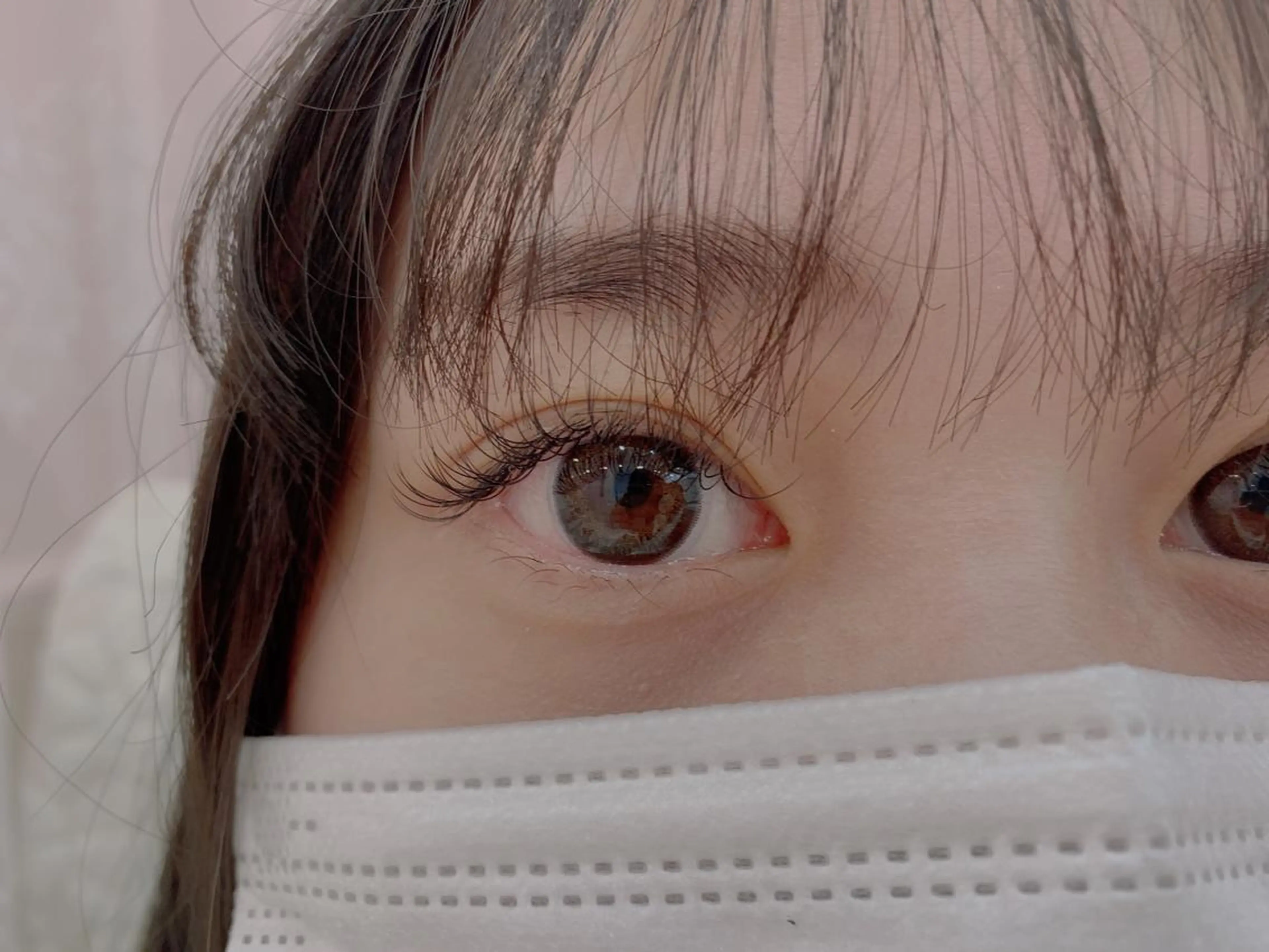 最高級セーブルリペア60本の写真