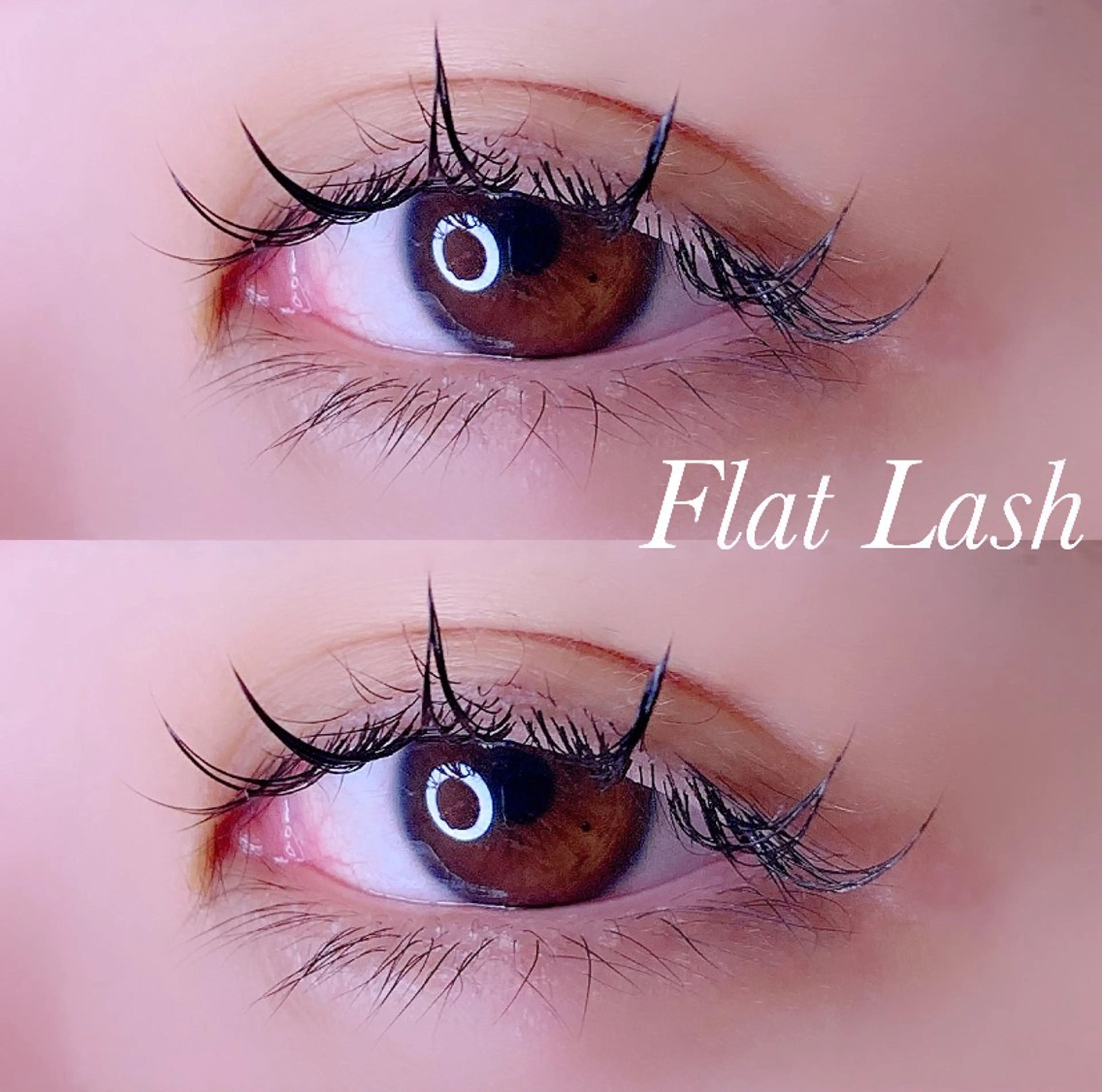 マツエク・マツパ Cカール フラットラッシュ マツエク Ayumi.pro 🍆N《4階》のマツエク・マツパデザイン