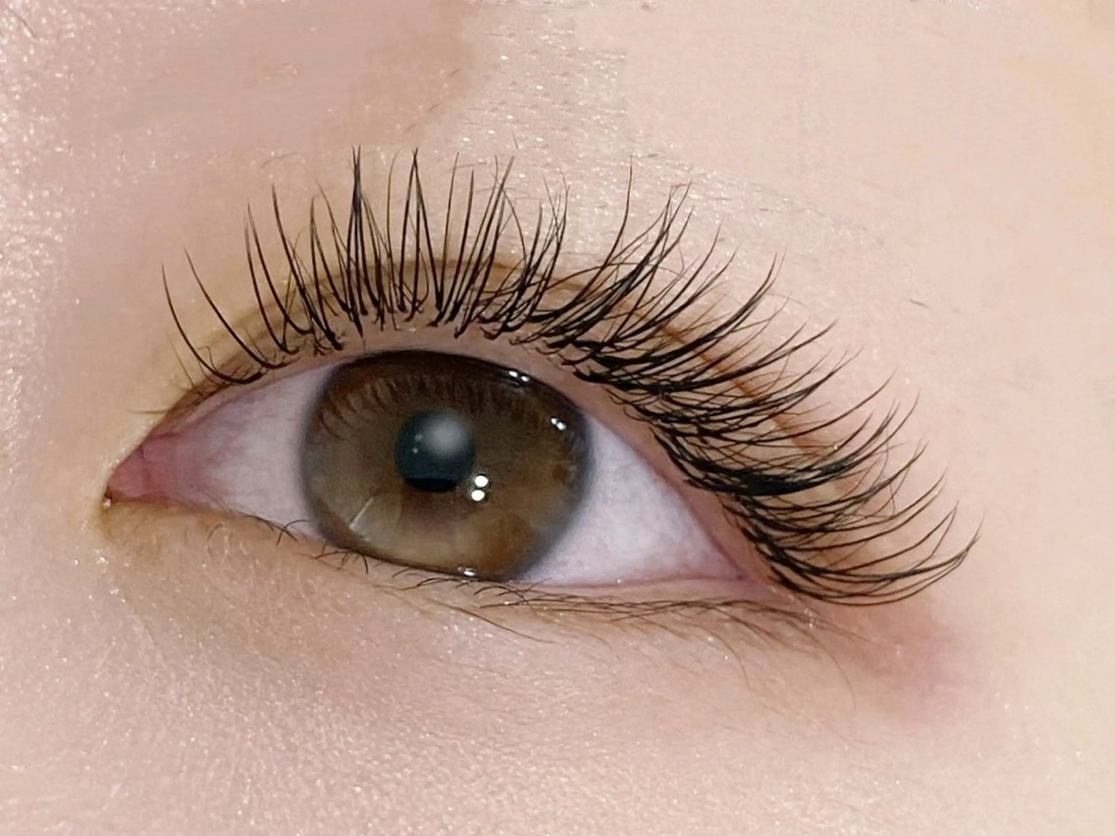 マツエク・マツパ マツエク 💎マツエク/眉毛 パリジェンヌ渋谷💎の眉毛・アイブロウイメージ