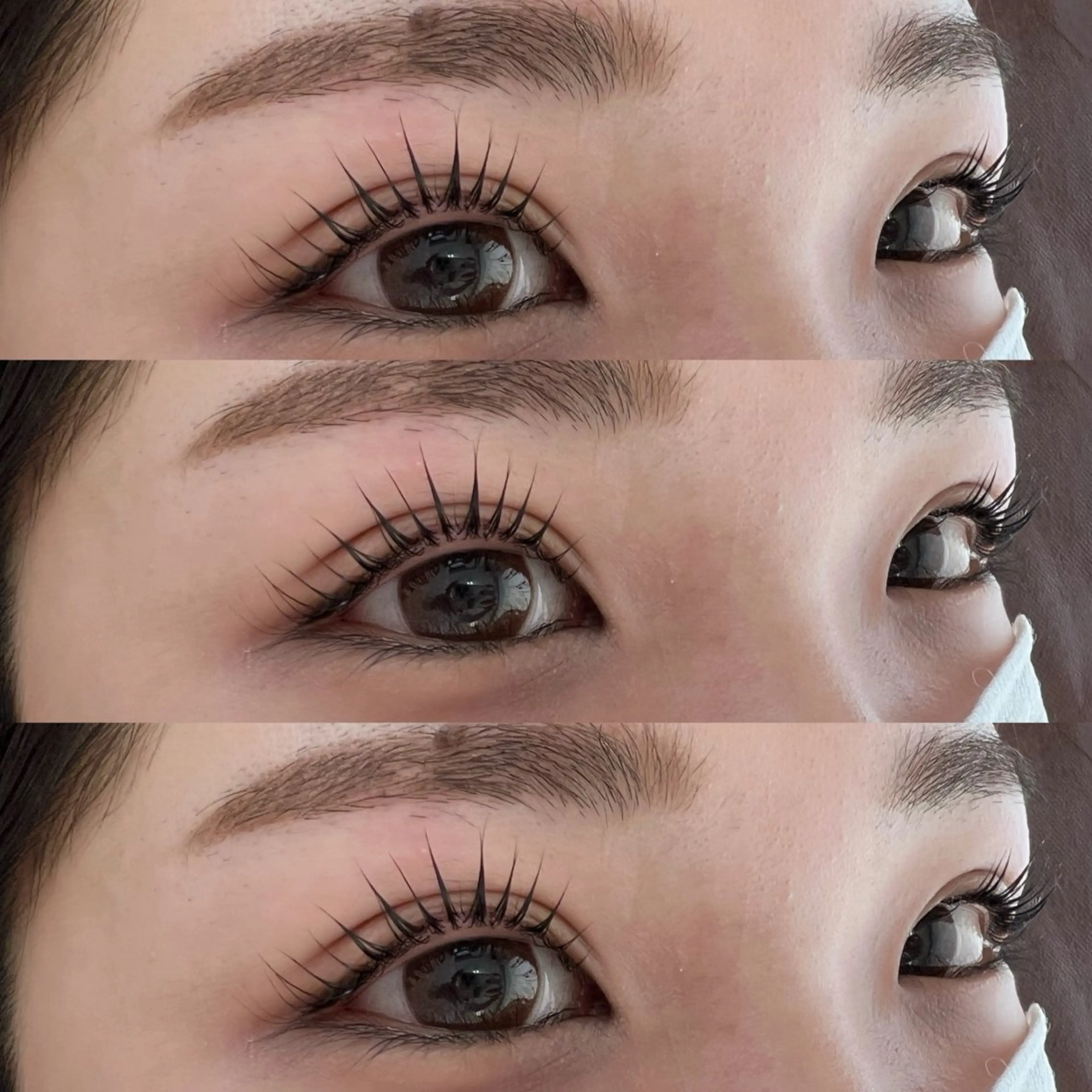 🎀パリジェンヌラッシュリフト🎀の写真