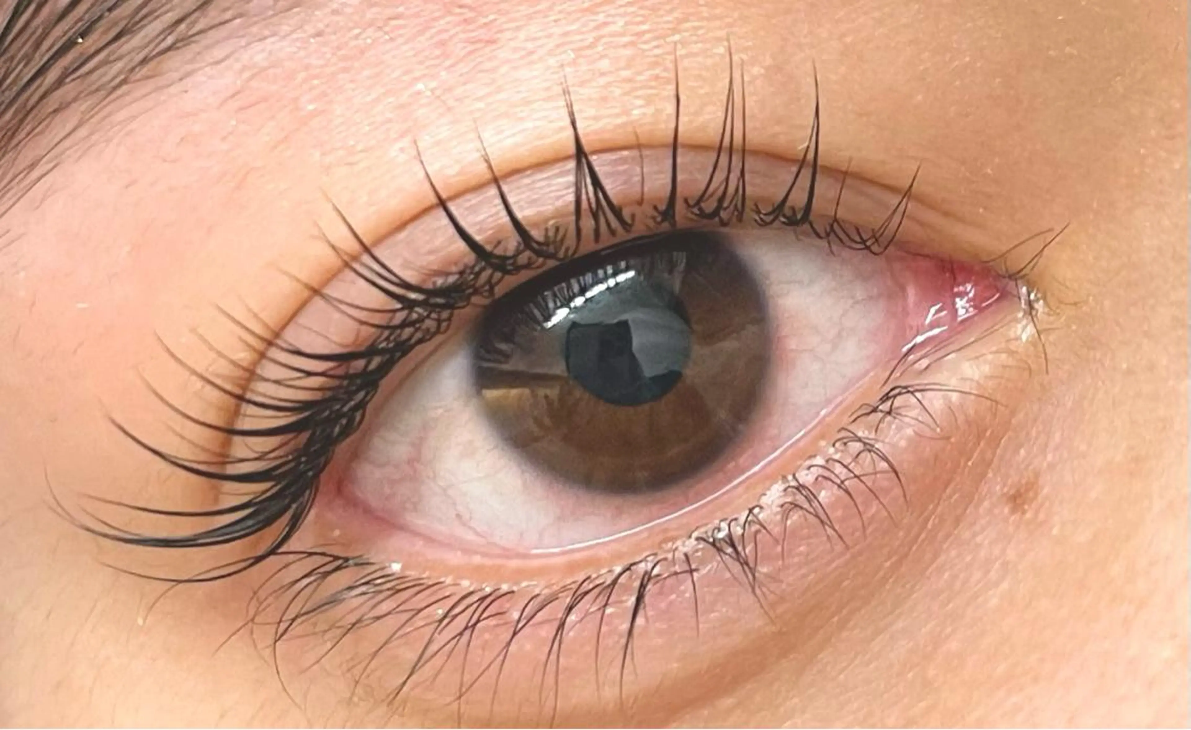 マツエク・マツパ マツパ Camarón まつ毛&眉毛サロンのマツエク・マツパデザイン