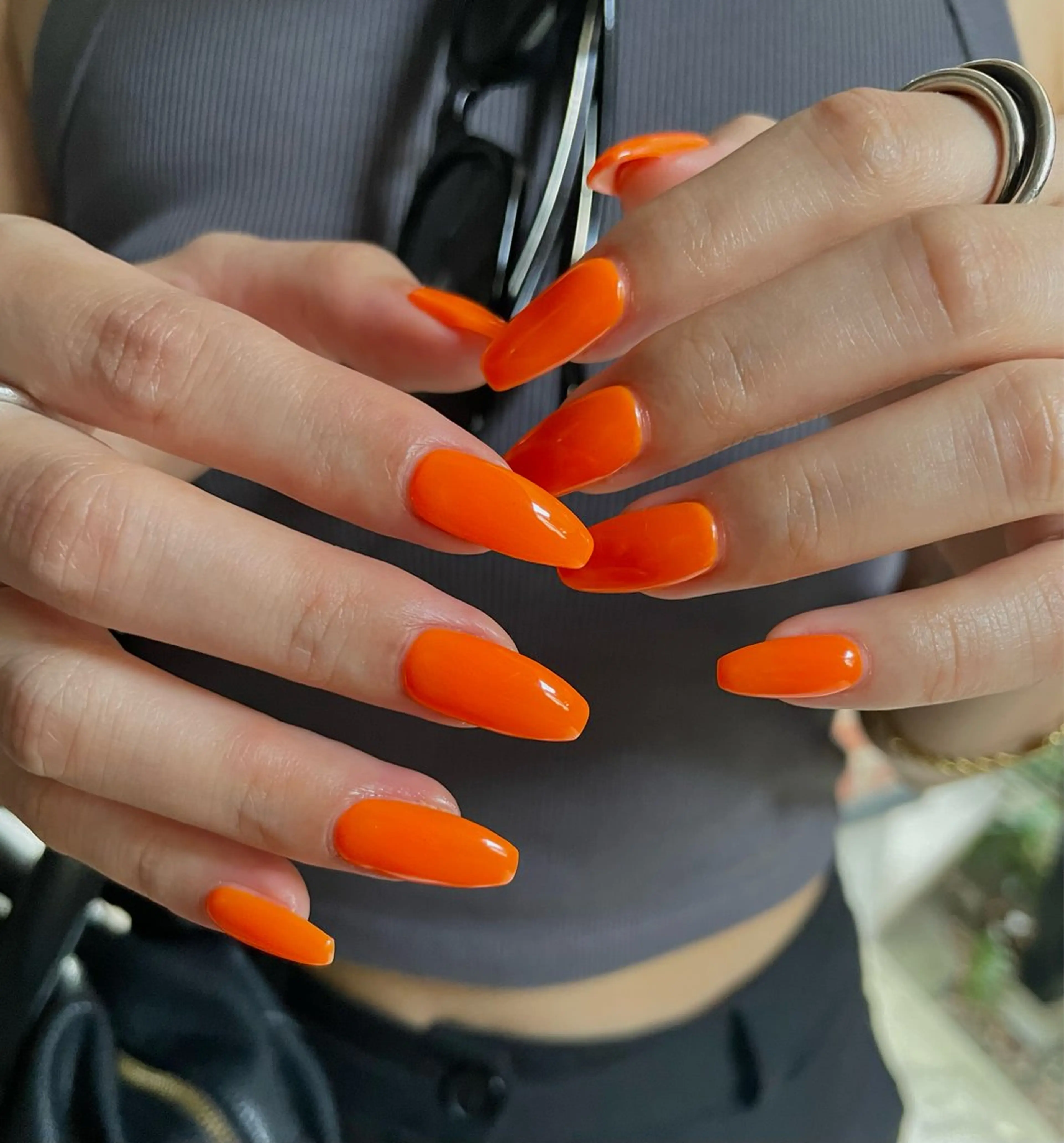 ワンカラー.グラデーション《オフなし》の写真