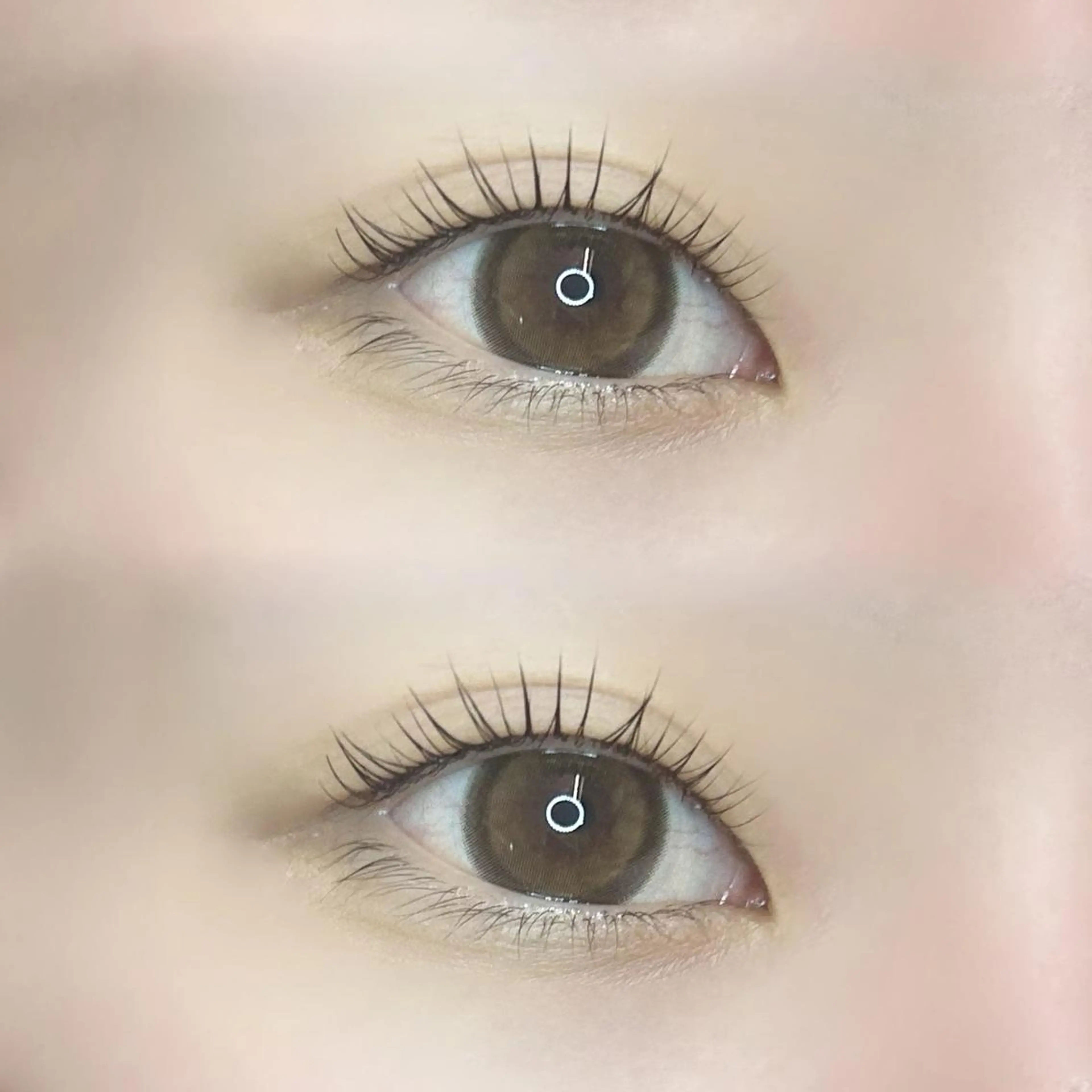 マツエク・マツパ パリジェンヌラッシュリフト 🦢✨fein. 原宿店✨🤍の眉毛・アイブロウイメージ