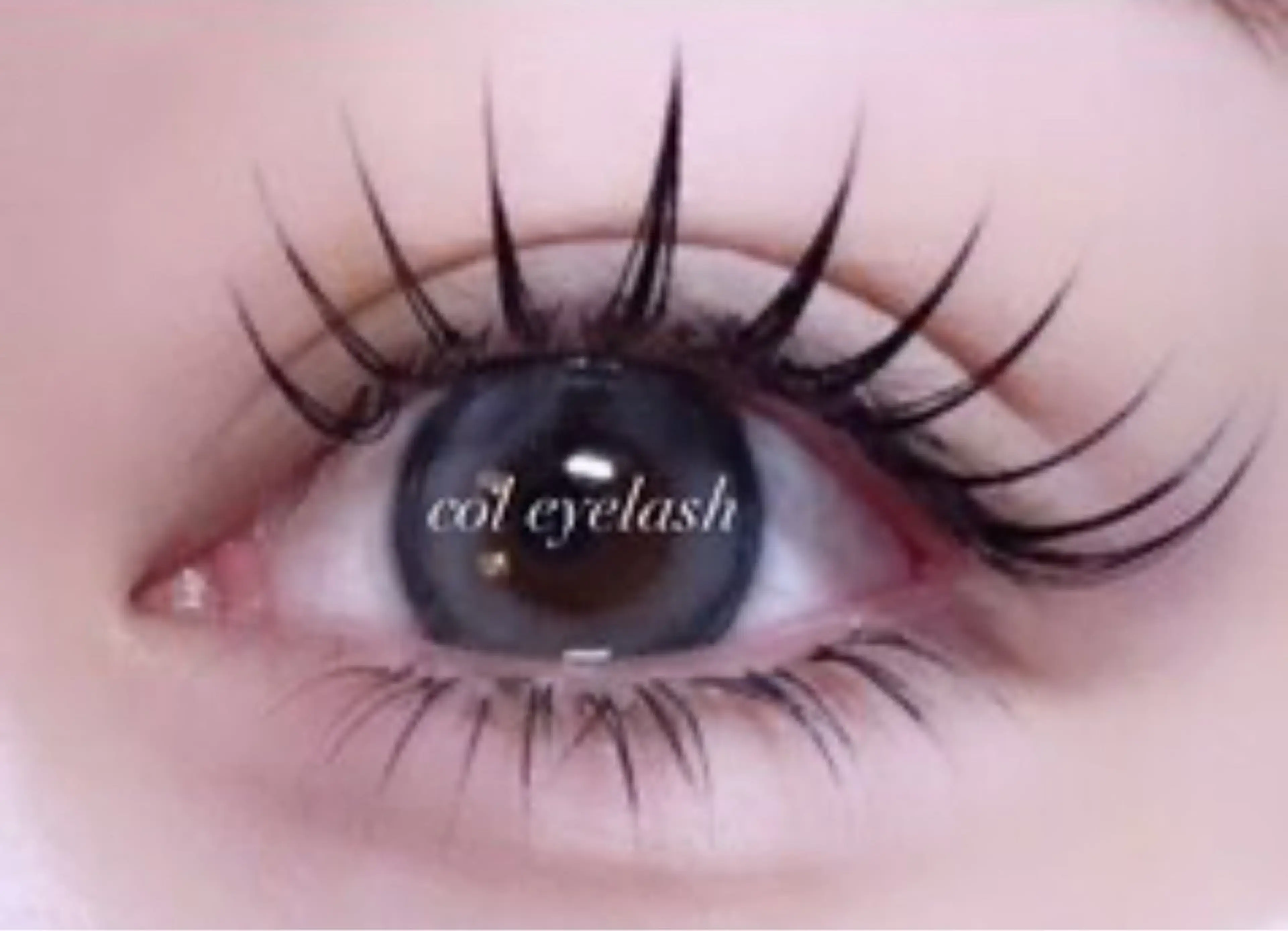 【フラットラッシュ】付け放題の写真