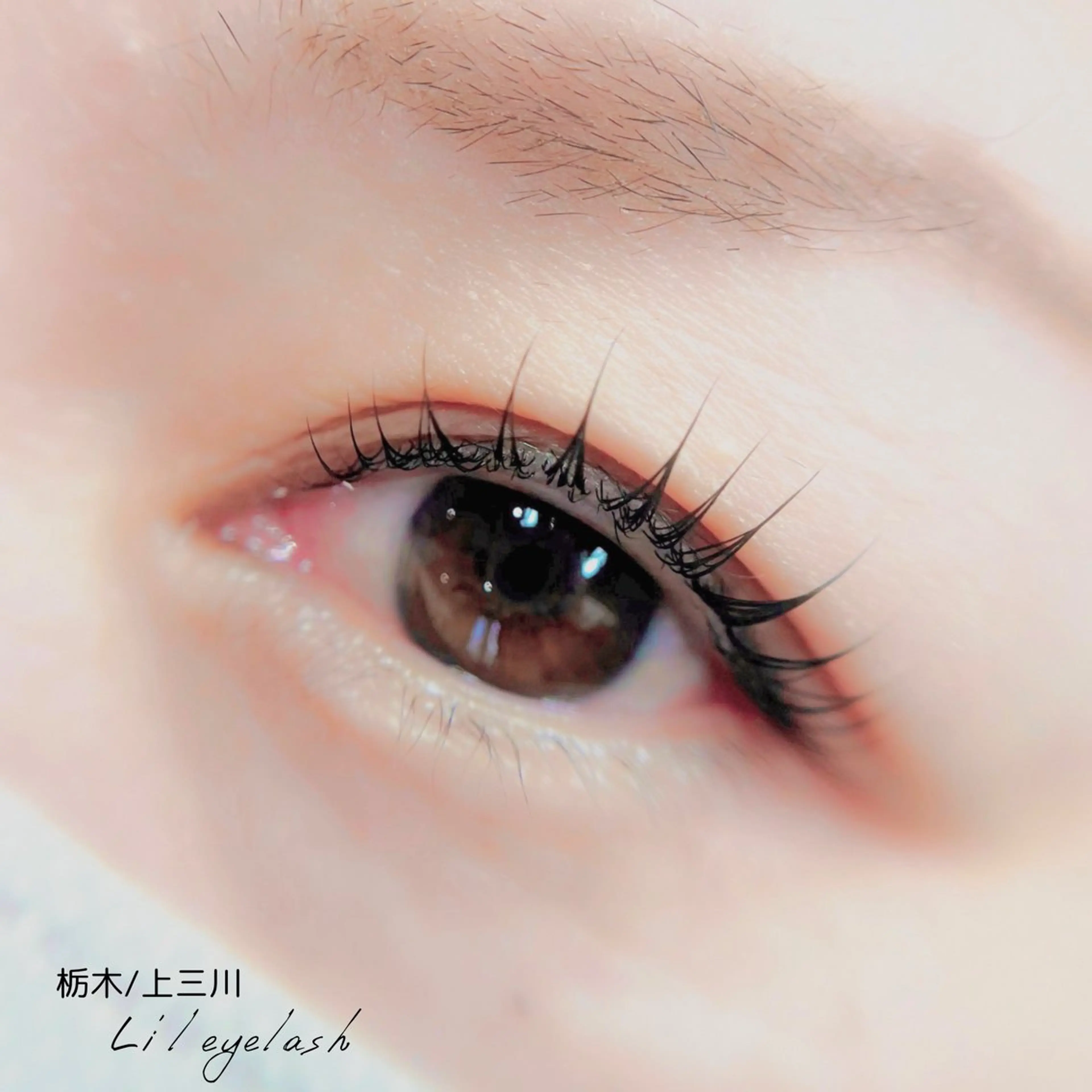 マツエク・マツパ li'l eyelashのマツエク・マツパデザイン