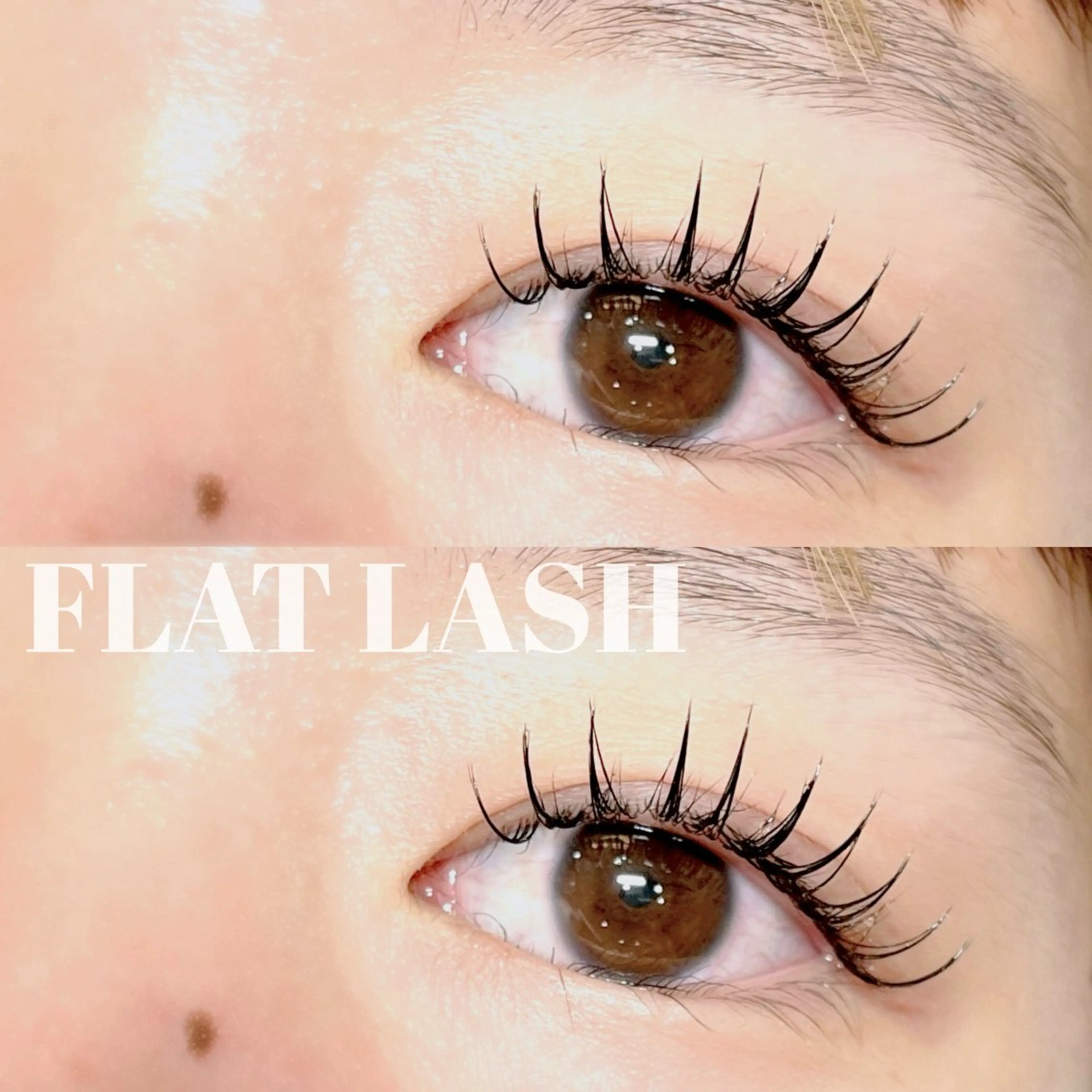 マツエク・マツパ マツエク REVIA :katoのマツエク・マツパデザイン