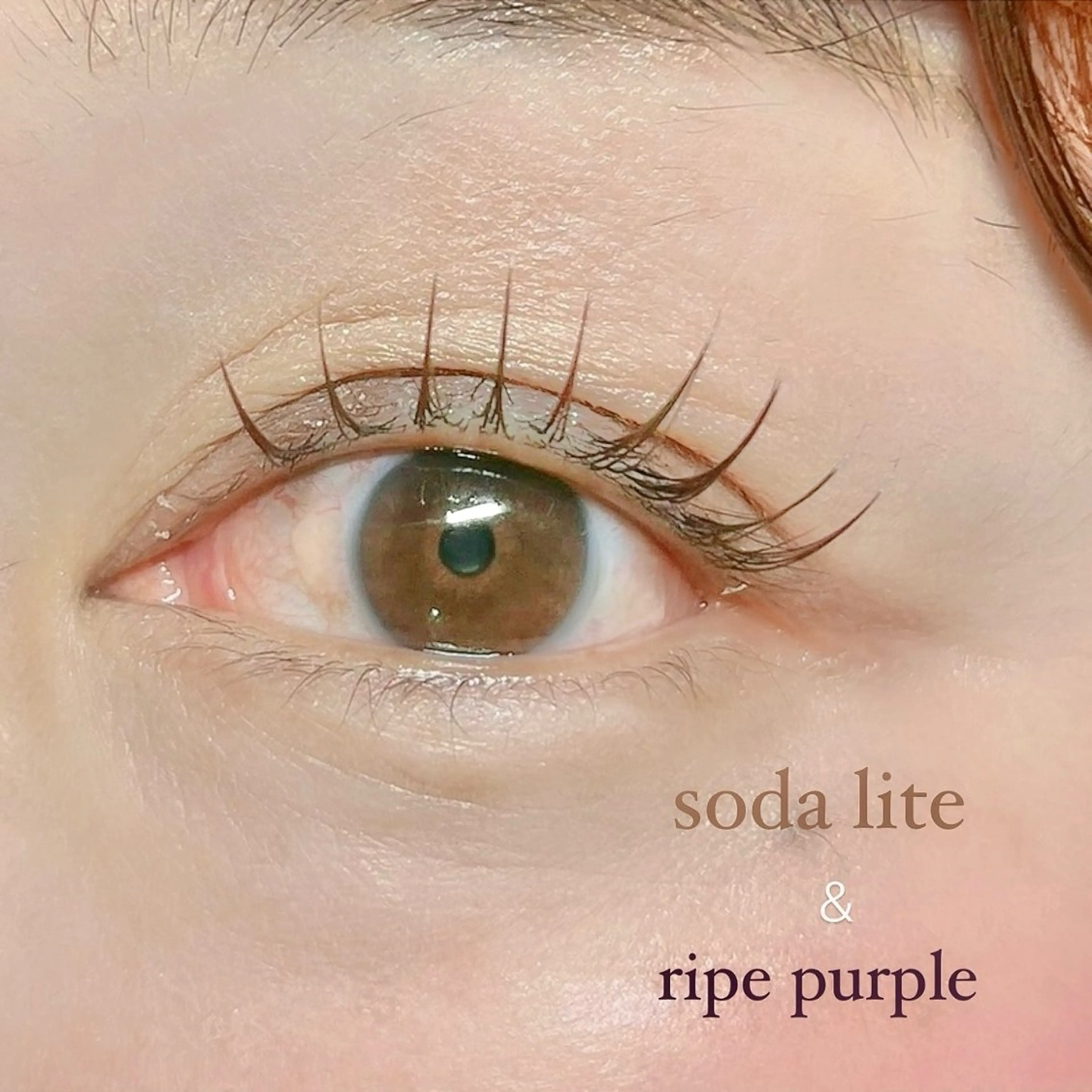 【⠀フラットマットラッシュ  】60分付け放題‪💚 オフ込み¥4,400円の写真