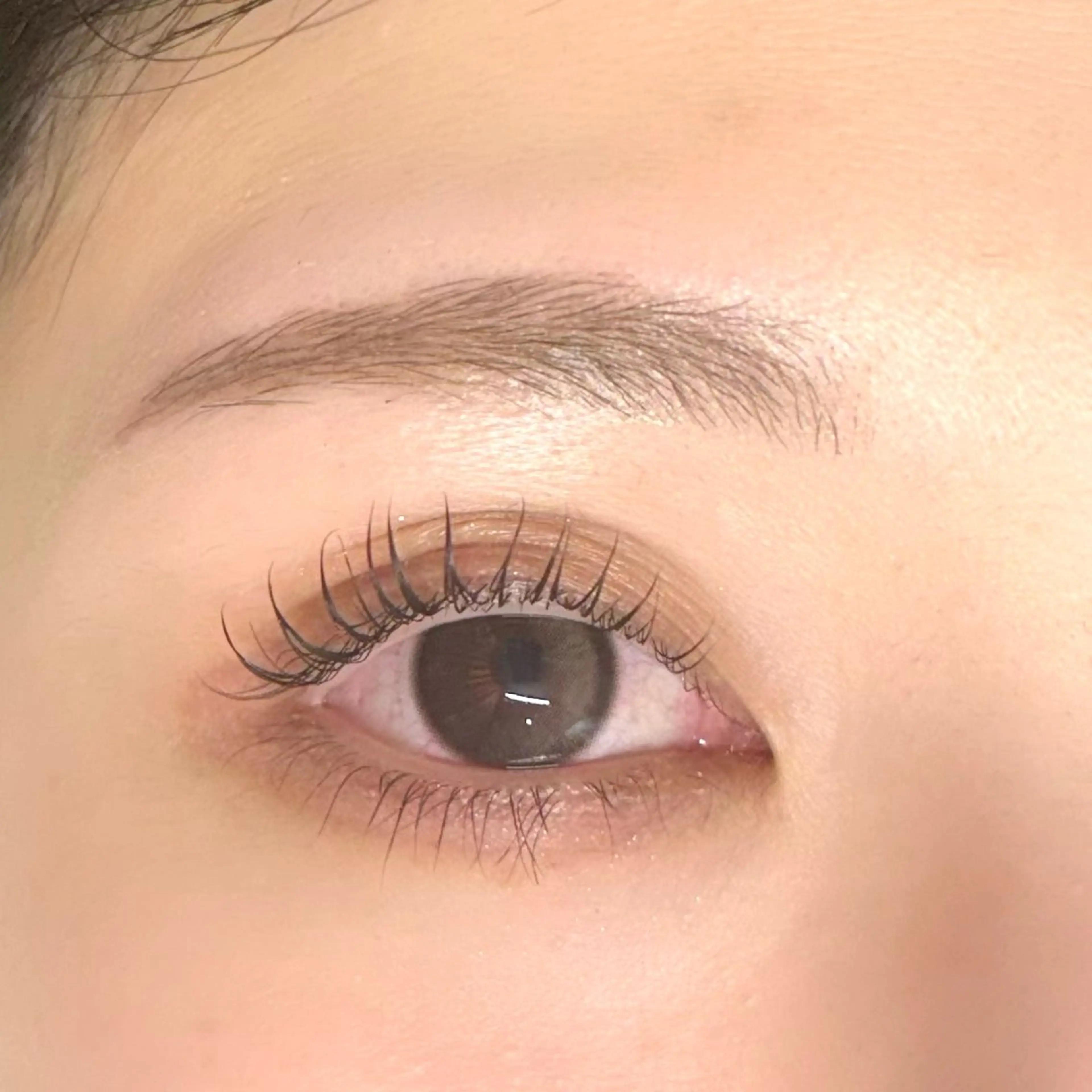 マツエク・マツパ meg .のマツエク・マツパデザイン