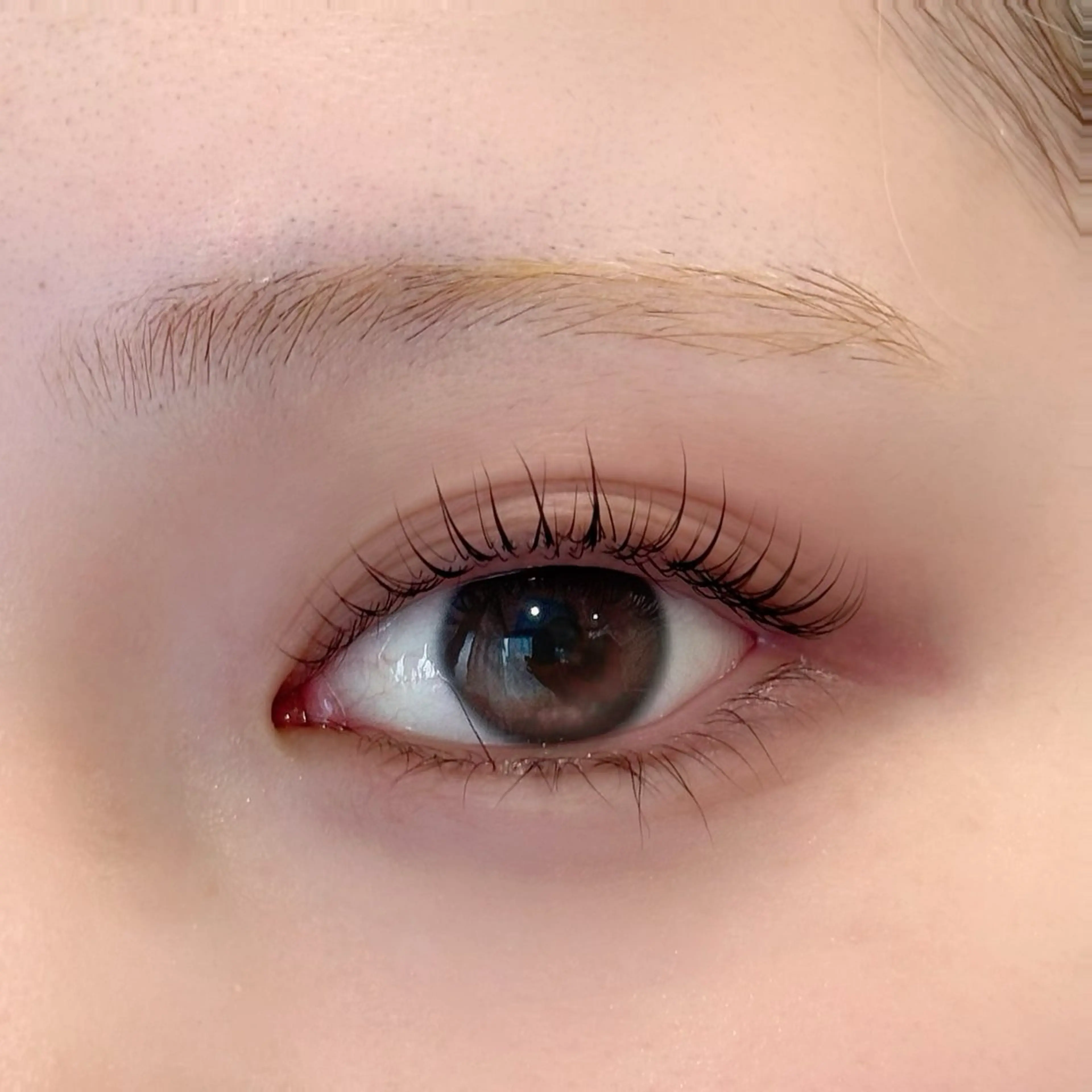 💫上下まつげパーマ💫の写真