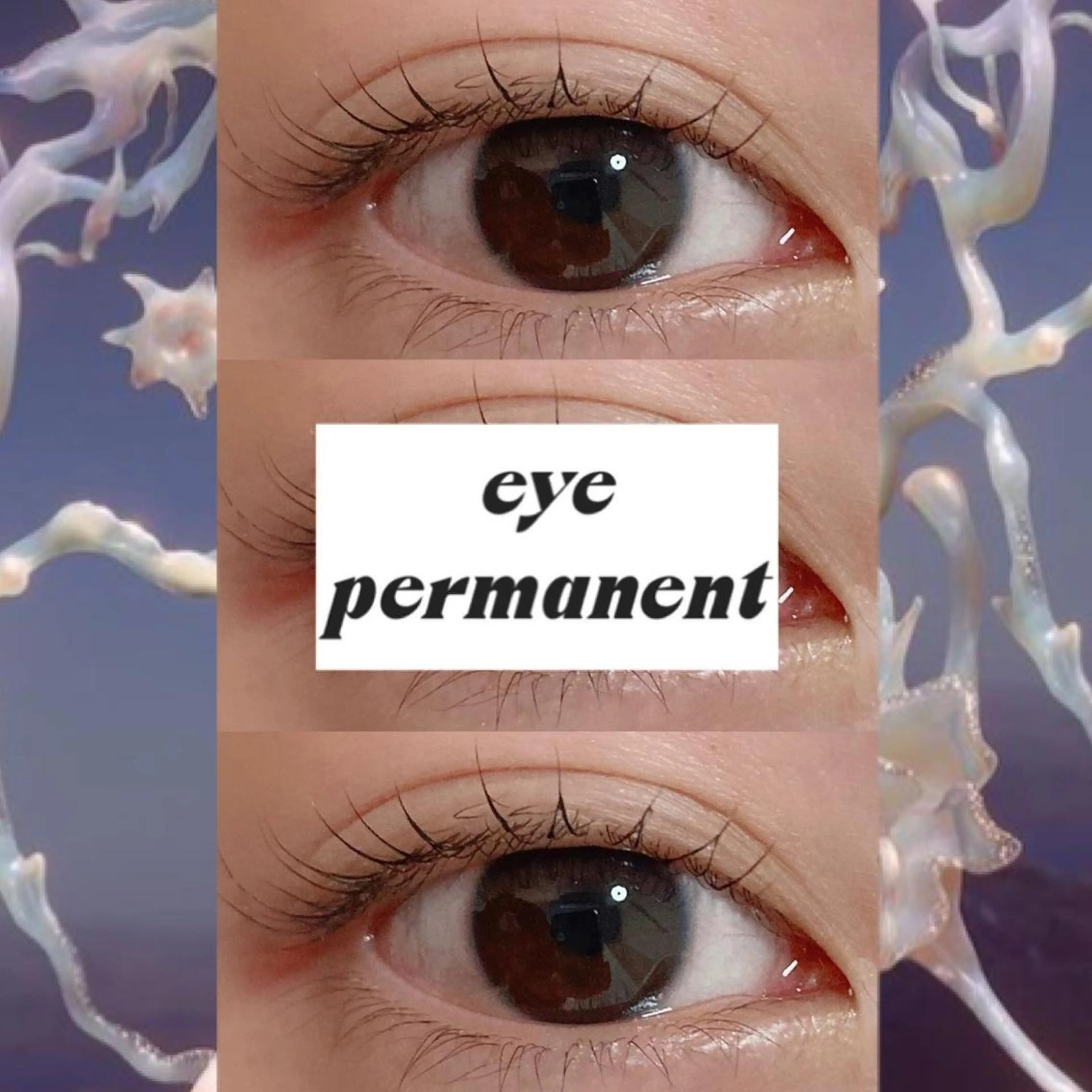 マツエク・マツパ 束感まつ毛 フラットラッシュ 韓国風マツエク ナチュラル まつげパーマ orihara𐙚 まつげパーマ/眉毛のマツエク・マツパデザイン