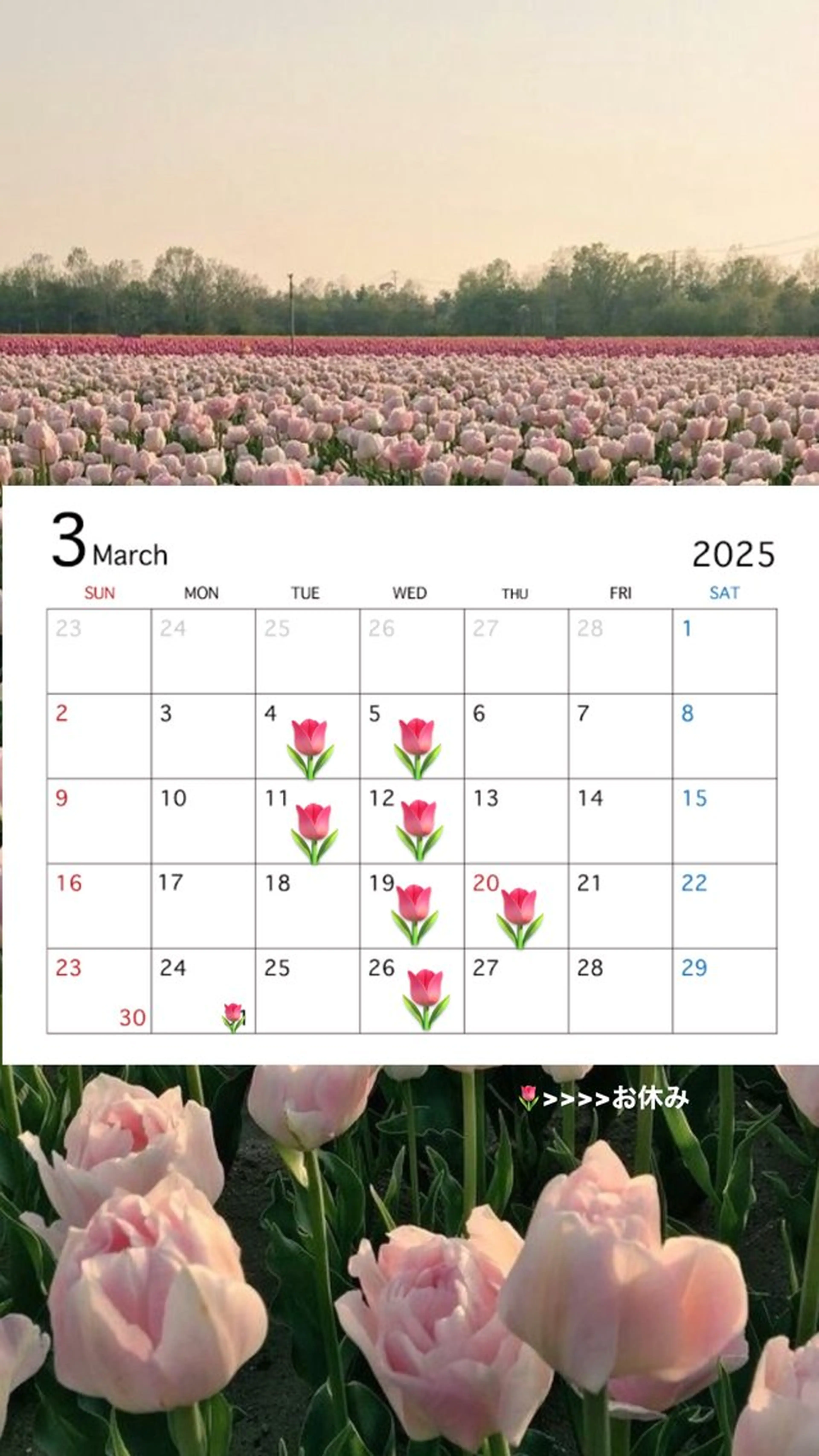 マツエク・マツパ crevia所属・Crevia Chieのマツエク・マツパデザイン