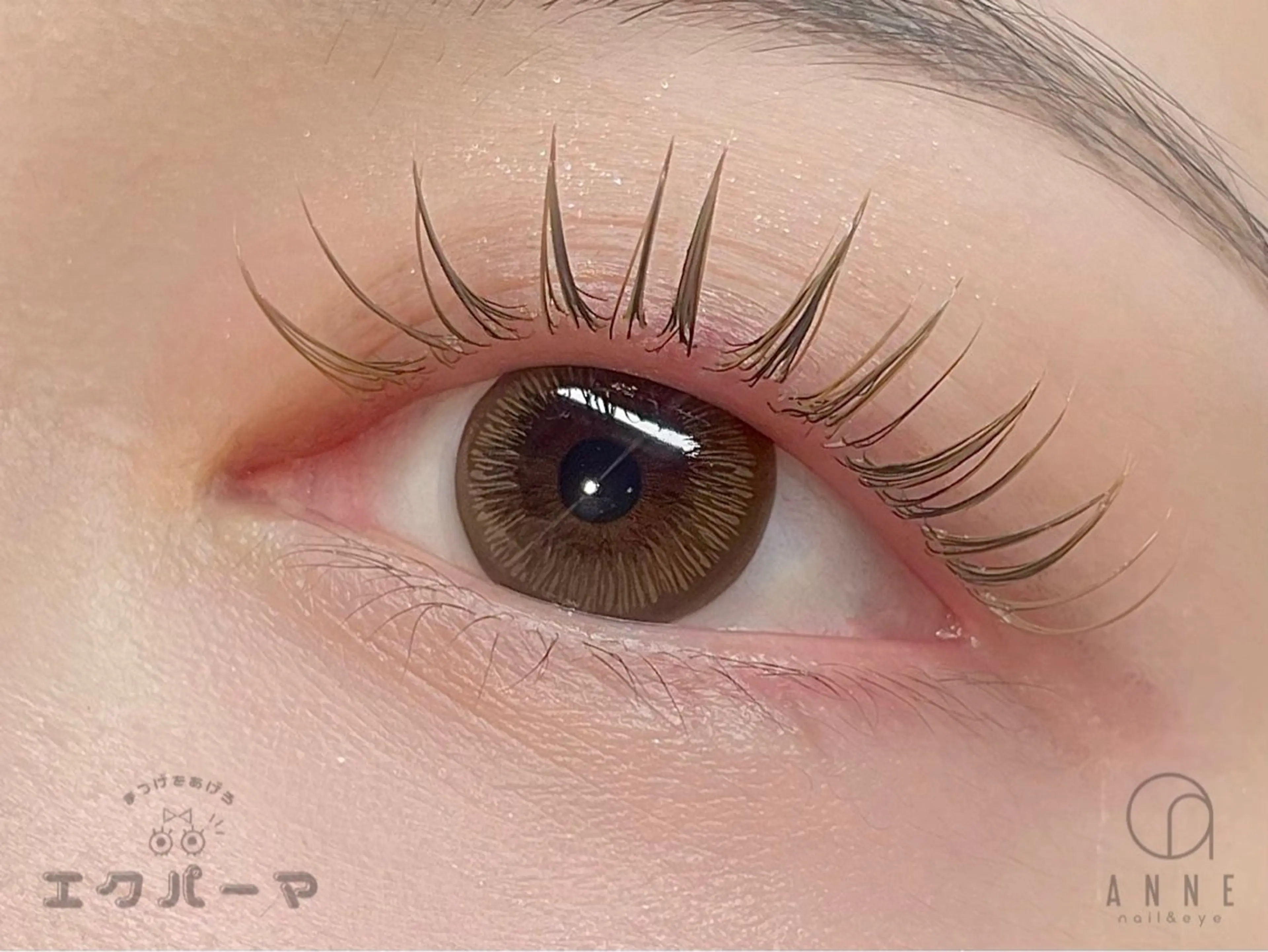 マツエク・マツパ マツエク ANNE梅田 GRACE店所属・ANNE chizuのマツエク・マツパデザイン