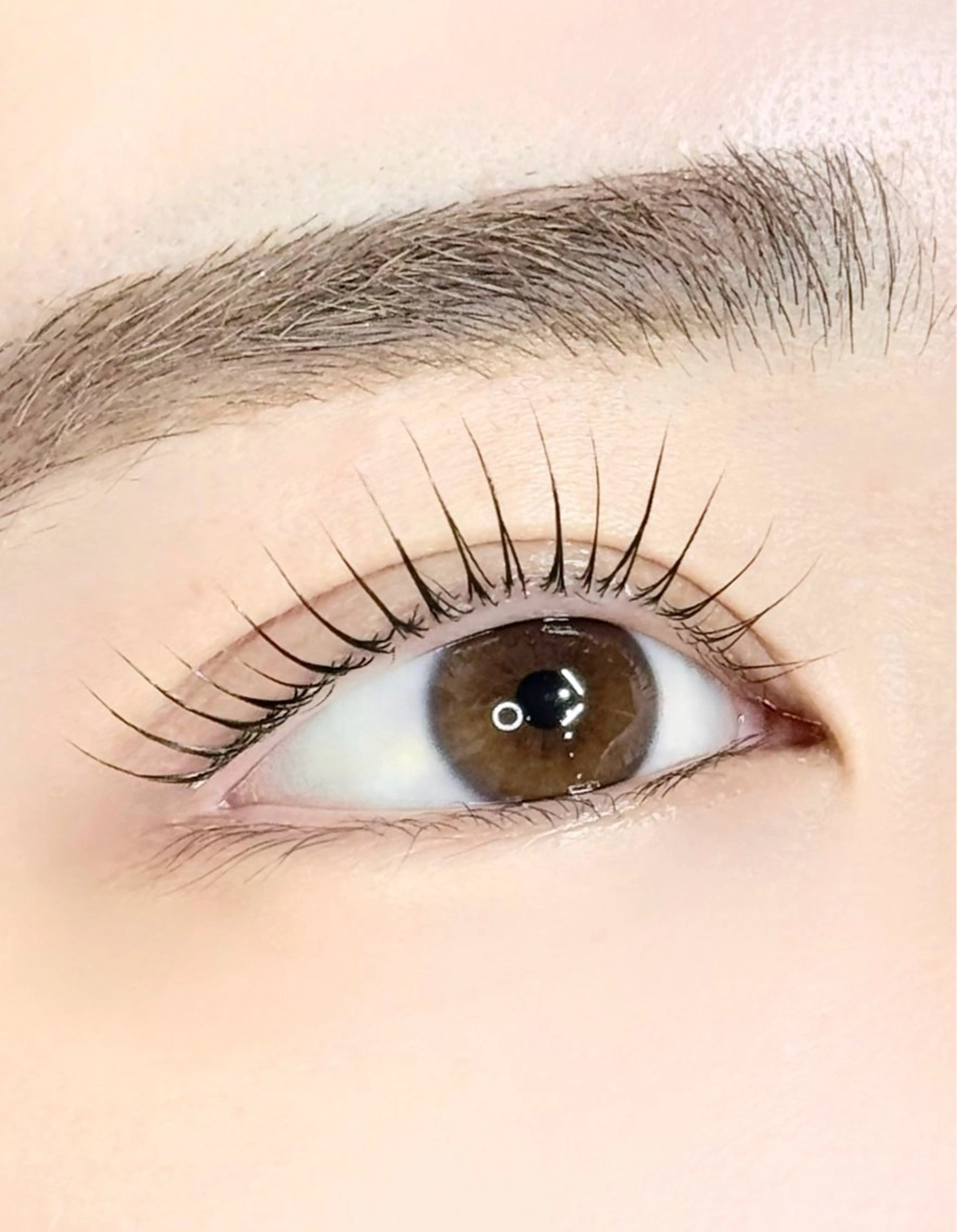 🎀まつげパーマ+トリートメント🎀の写真