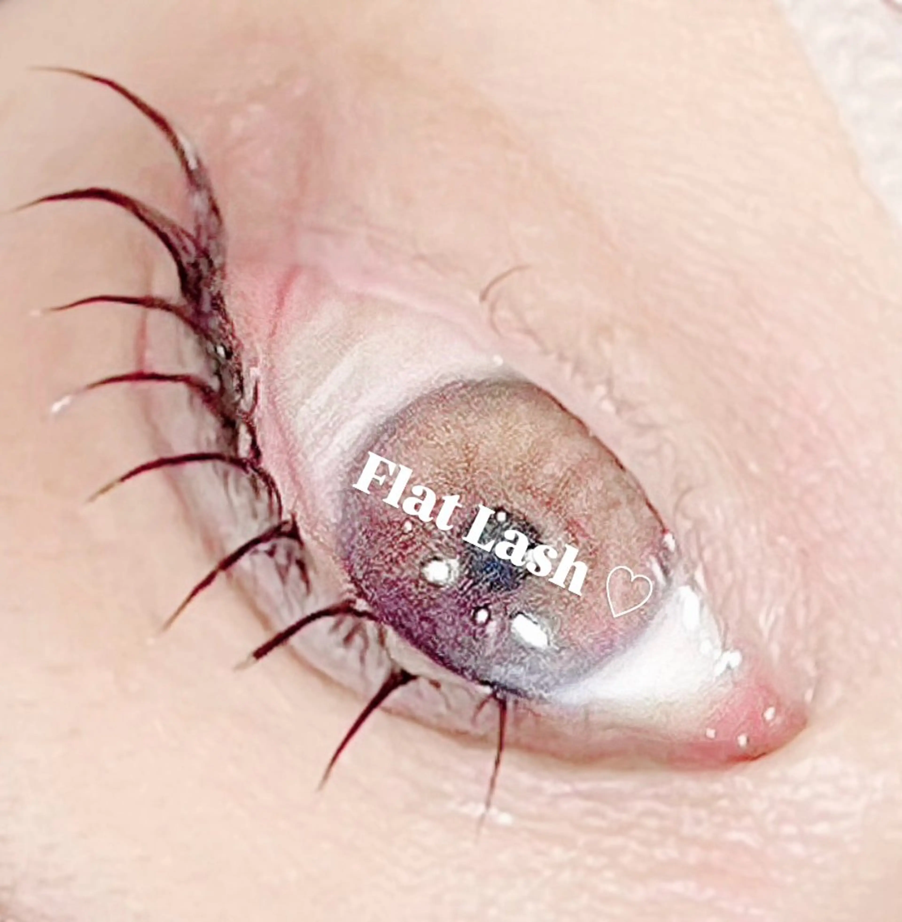 Flat Lash 80本迄 off無料🖤の写真