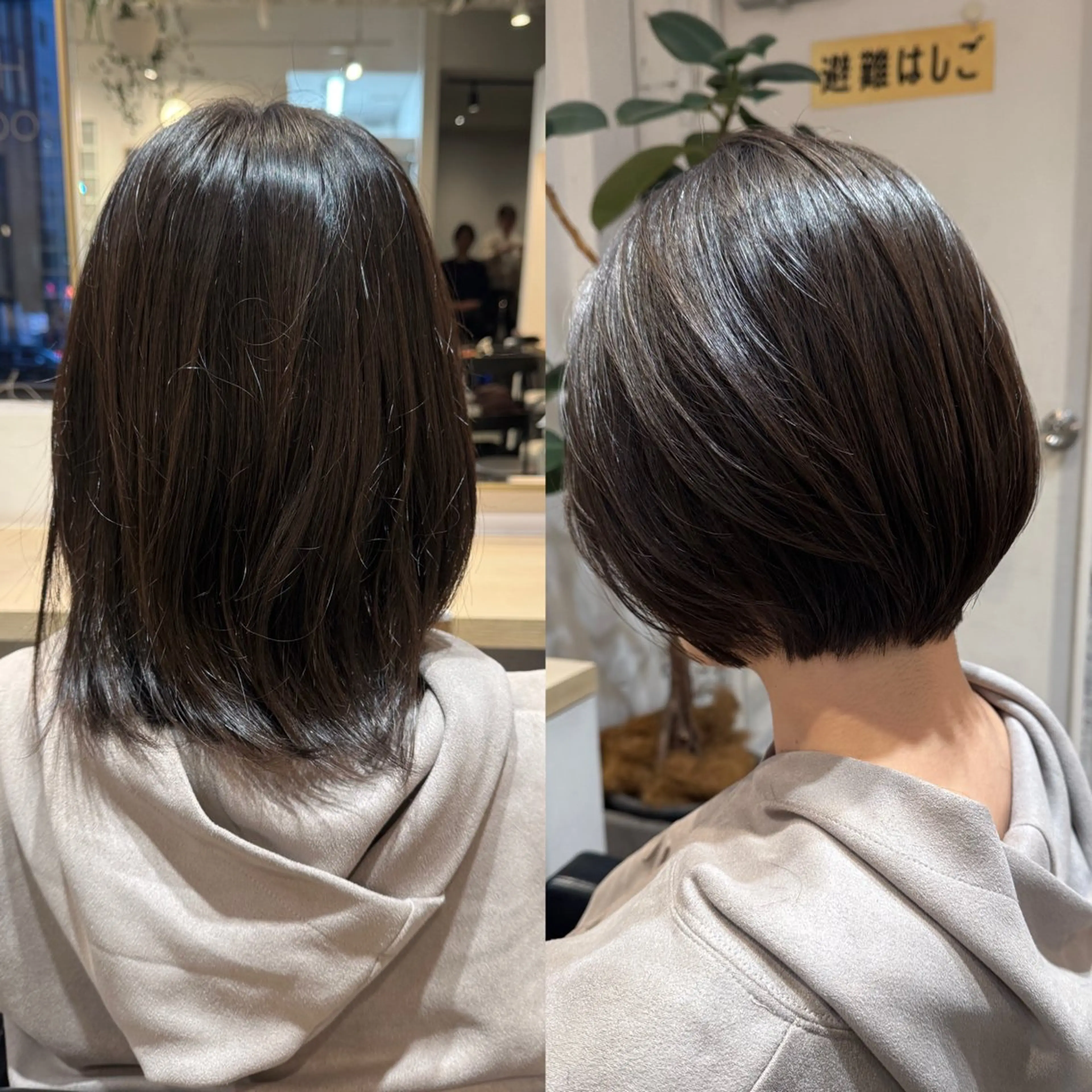 ショート 伊藤 まみのヘアスタイル