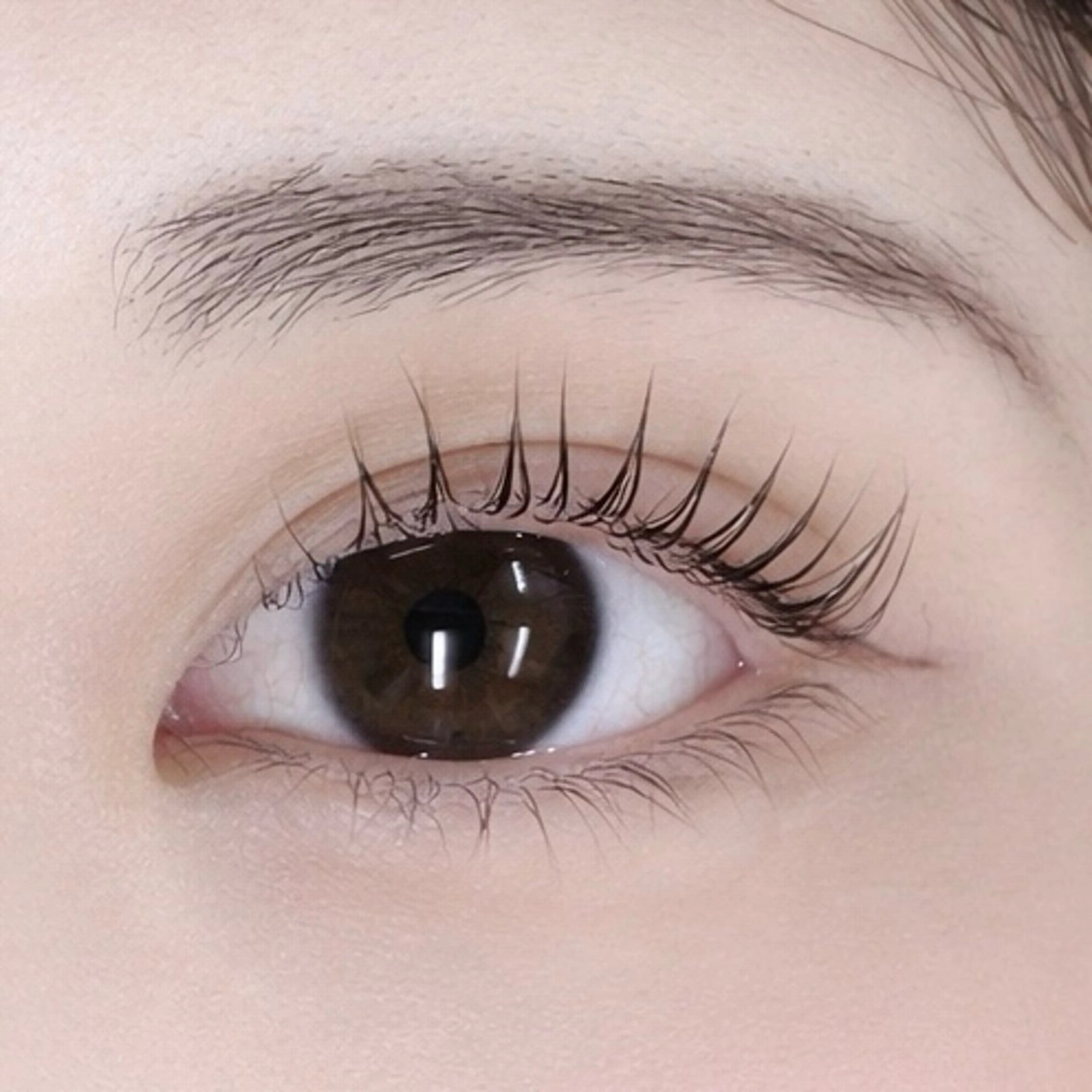 マツエク・マツパ パリジェンヌラッシュリフト BELLEZZA 神楽坂 🫧カワマタのマツエク・マツパデザイン