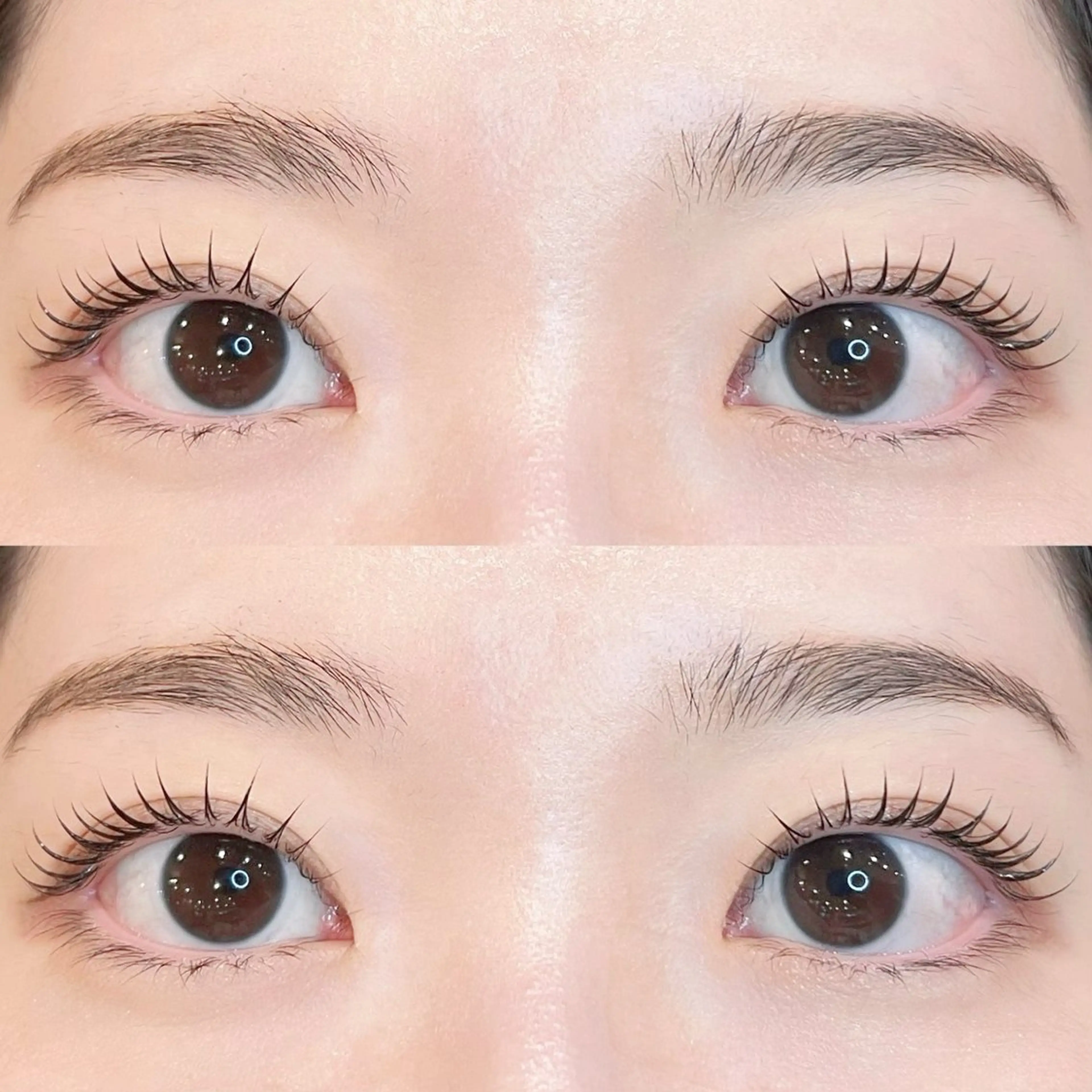 🩷パリジェンヌorラッシュリフト🩷の写真